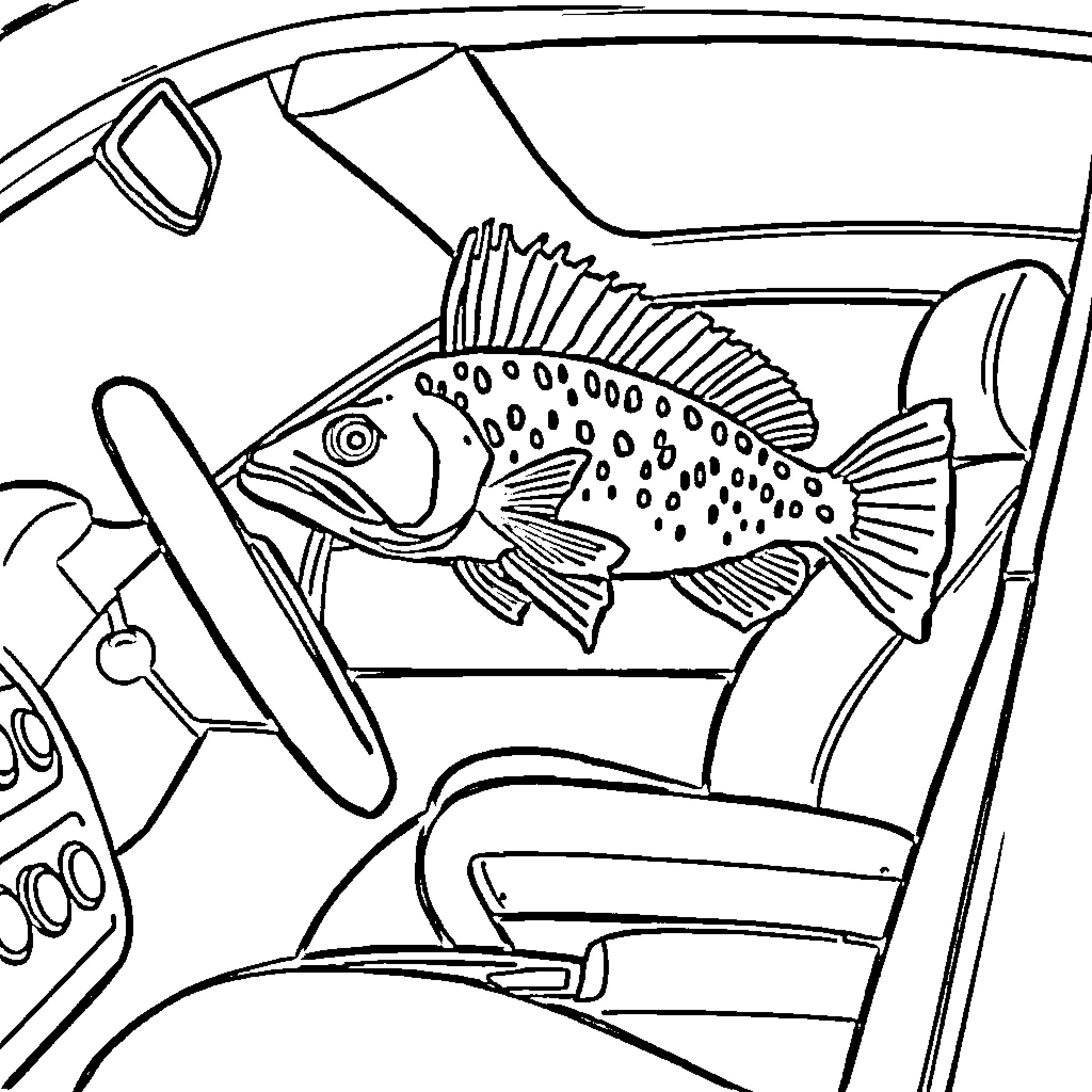 Barramundi swimming in car interior Coloring Page (free black-and-white line drawing printable PDF for all, from beginners to advanced learners, including children, teens, adults, and seniors)