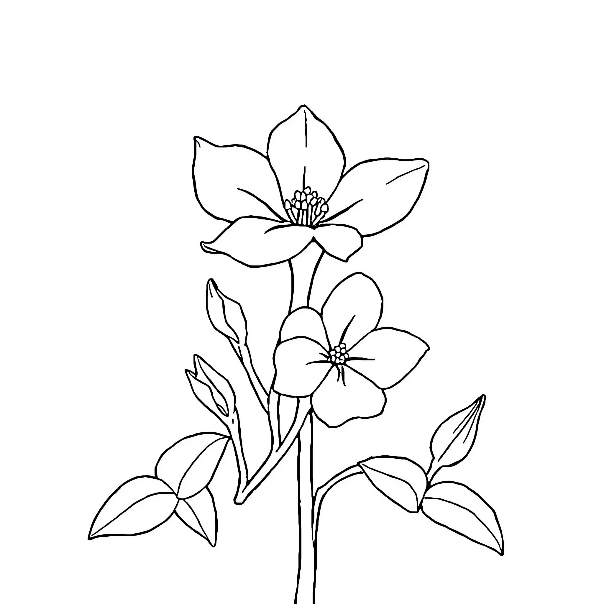 Azalea flowers blooming in artistic simplicity Coloring Page (free black-and-white line drawing printable PDF for all, from beginners to advanced learners, including children, teens, adults, and seniors)