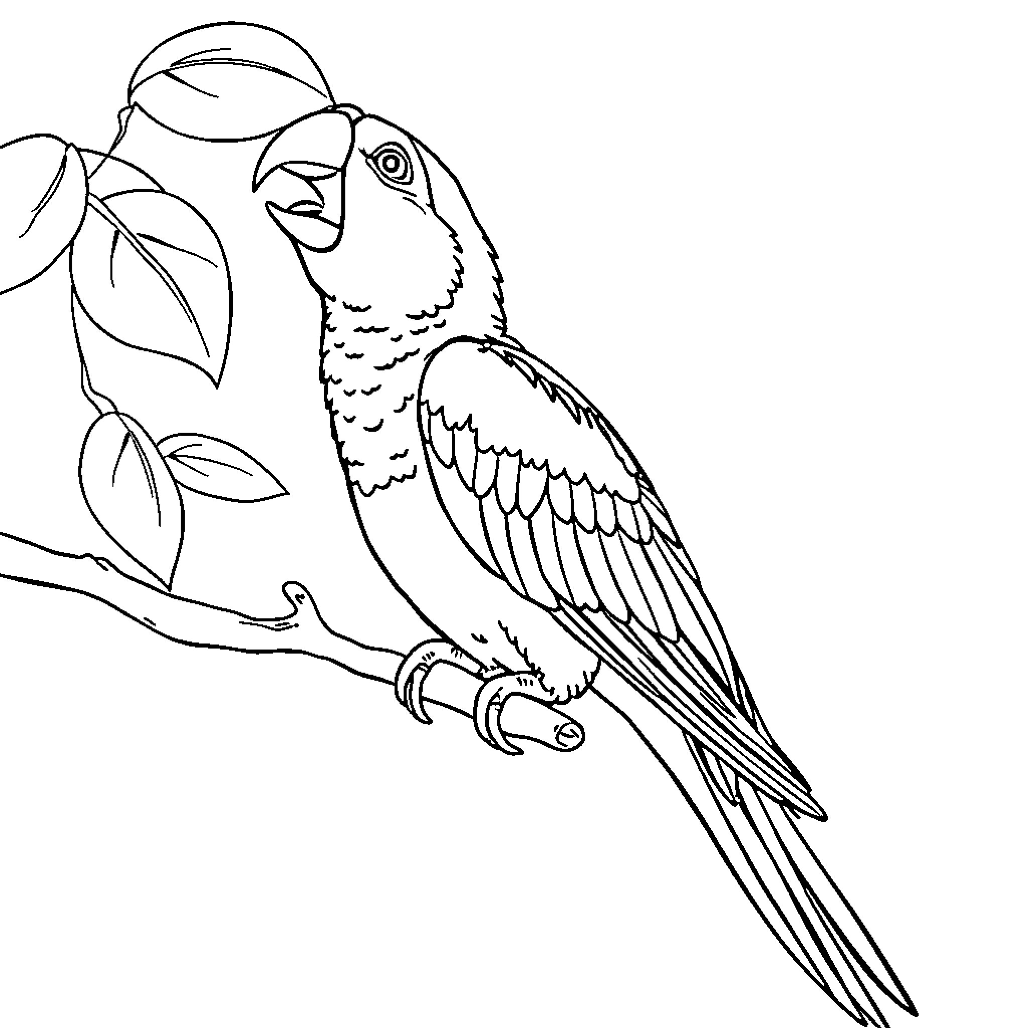 Parrot perched on a leafy branch Coloring Page (free black-and-white line drawing printable PDF for all, from beginners to advanced learners, including children, teens, adults, and seniors)