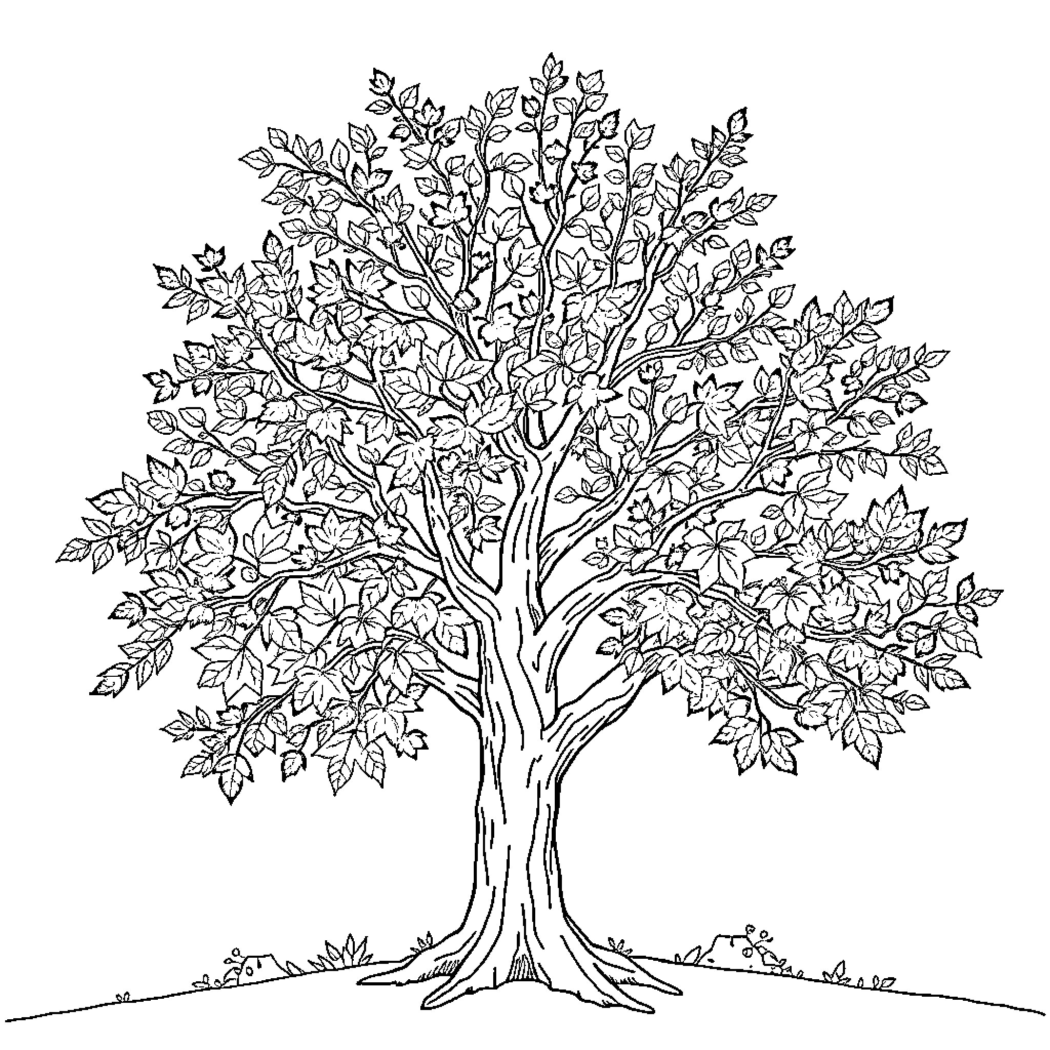 Tree with Intricate Leaf Patterns Coloring Page (free black-and-white line drawing printable PDF for all, from beginners to advanced learners, including children, teens, adults, and seniors)