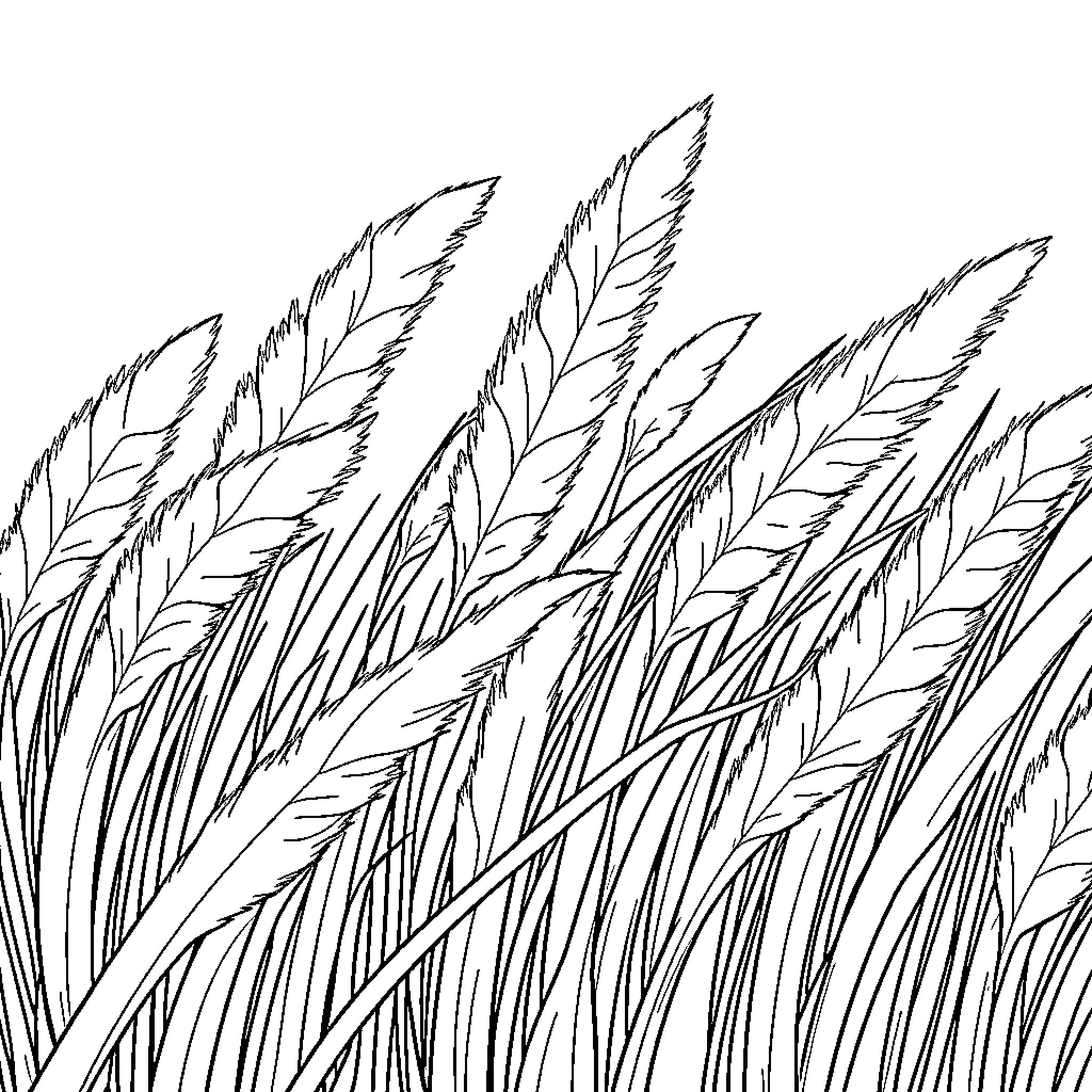 Grass blowing in the wind Coloring Page (free black-and-white line drawing printable PDF for all, from beginners to advanced learners, including children, teens, adults, and seniors)
