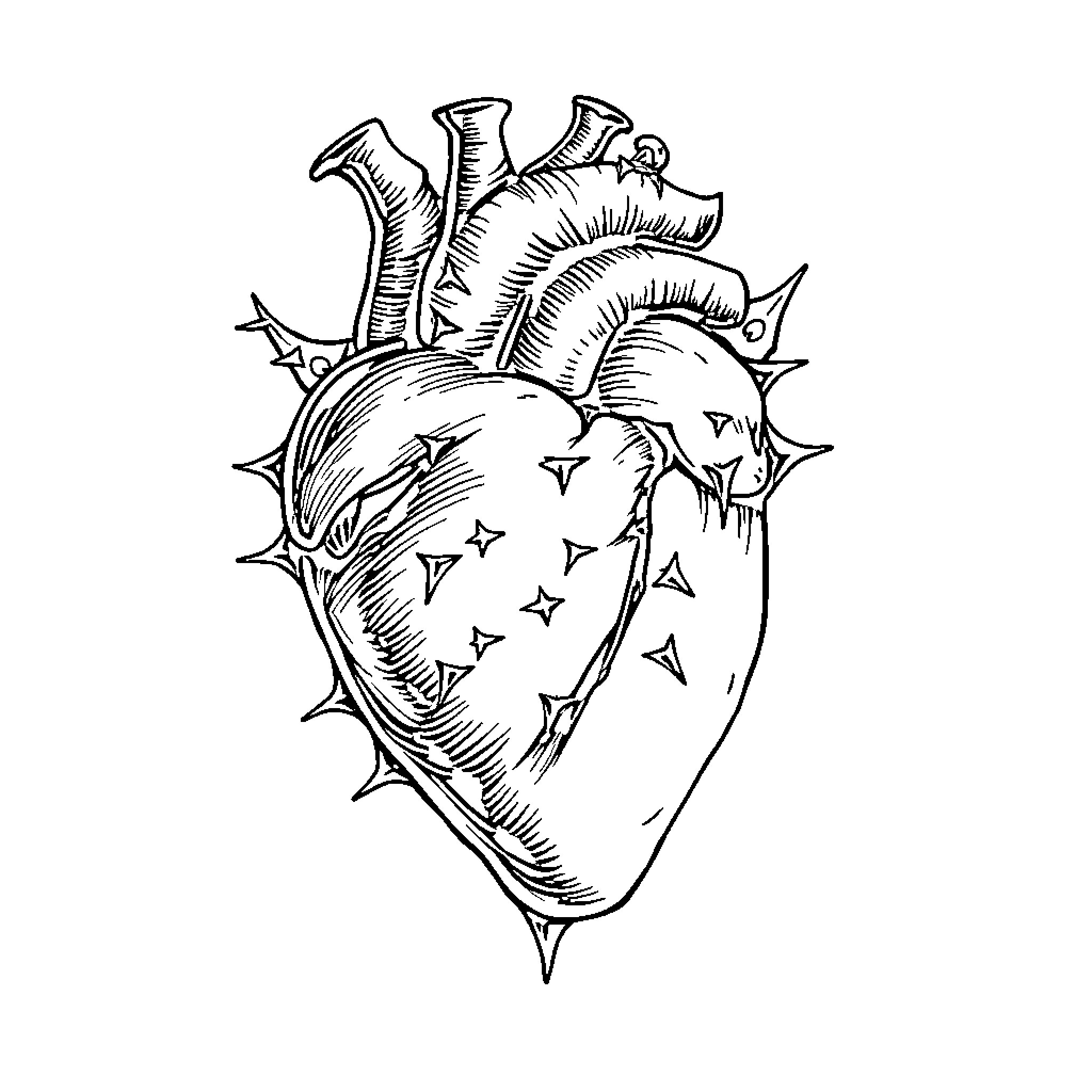 Heart filled with celestial elements Coloring Page (free black-and-white line drawing printable PDF for all, from beginners to advanced learners, including children, teens, adults, and seniors)