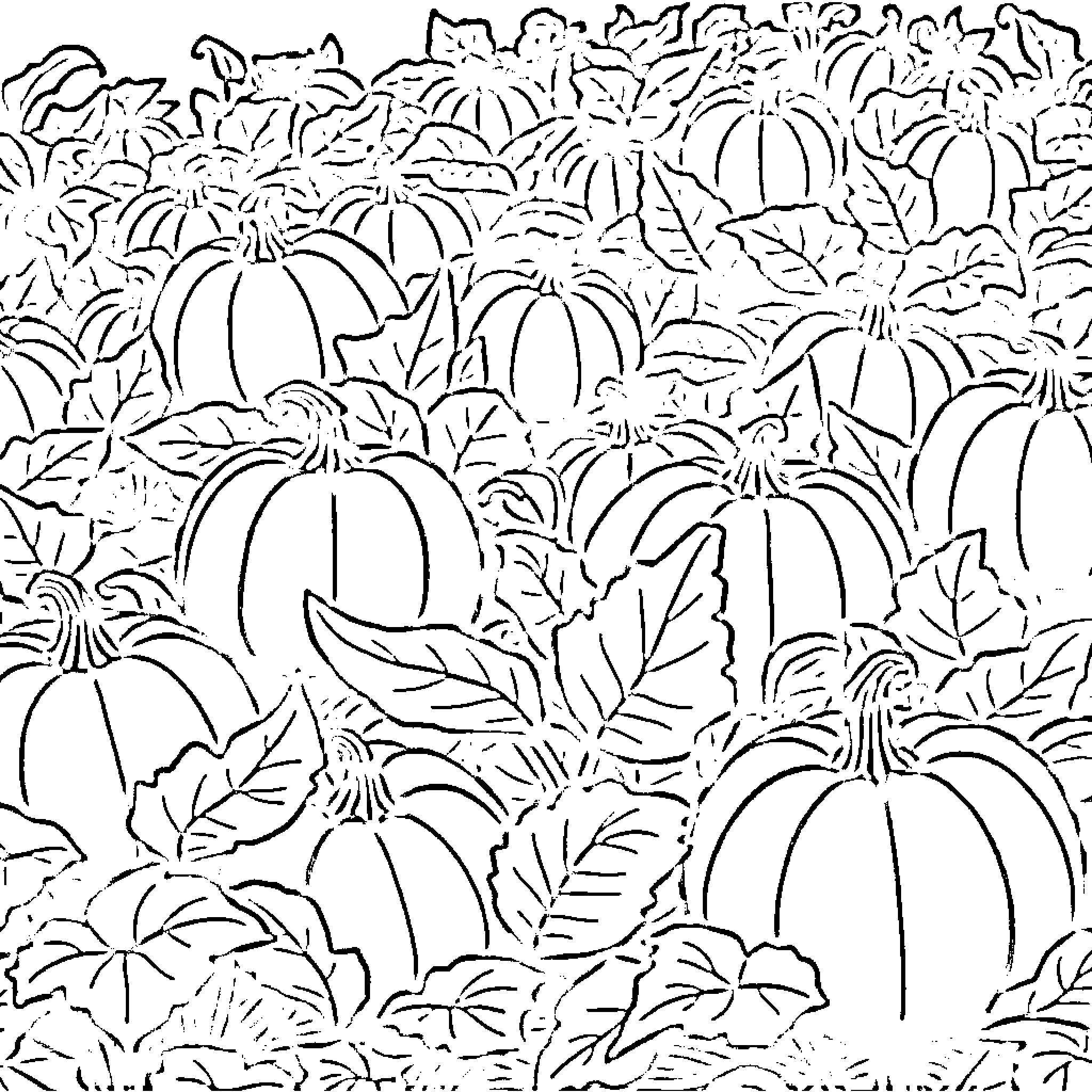 Pumpkin Patch with Flourishing Foliage Coloring Page (free black-and-white line drawing printable PDF for all, from beginners to advanced learners, including children, teens, adults, and seniors)