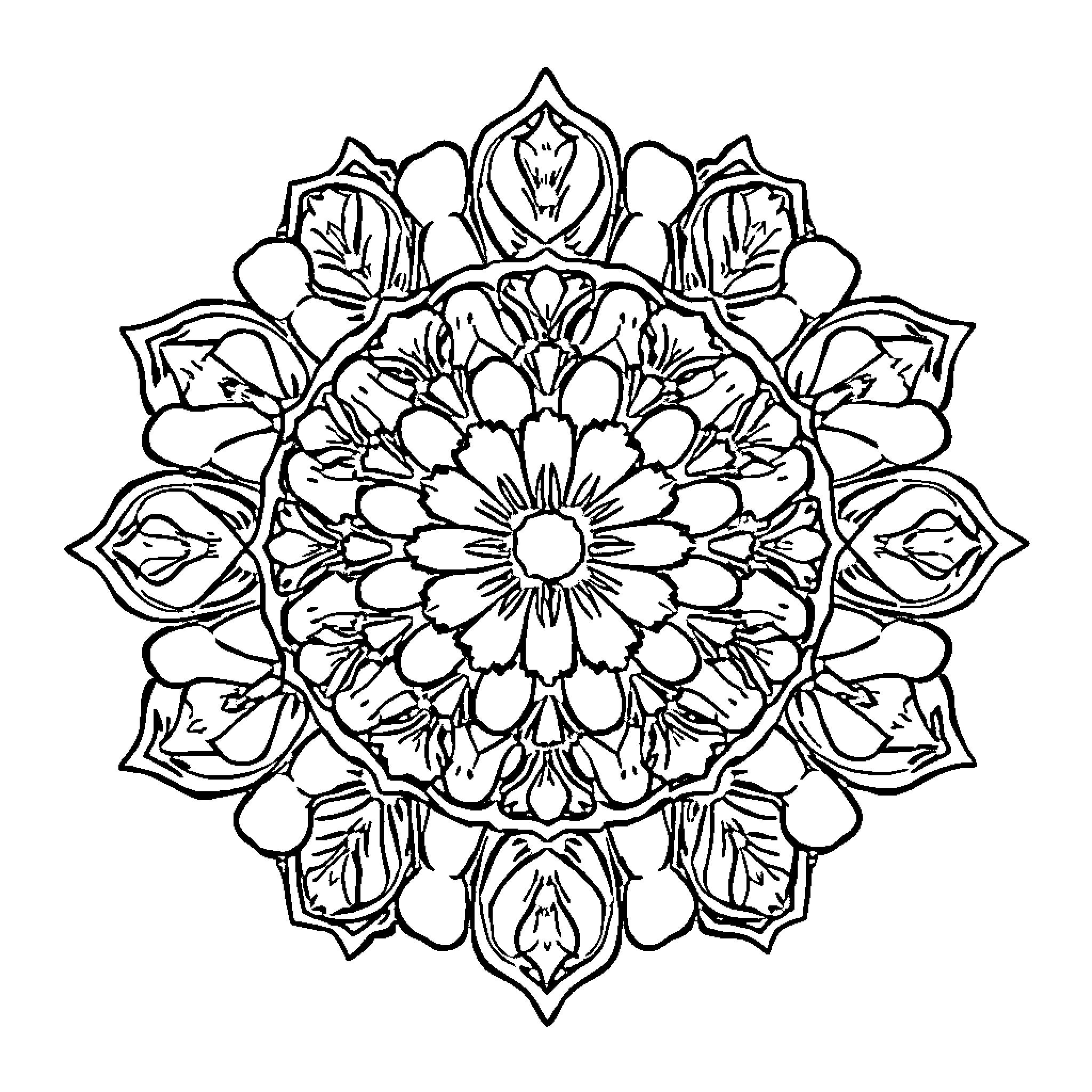 Cauliflower-shaped floral mandala design Coloring Page (free black-and-white line drawing printable PDF for all, from beginners to advanced learners, including children, teens, adults, and seniors)