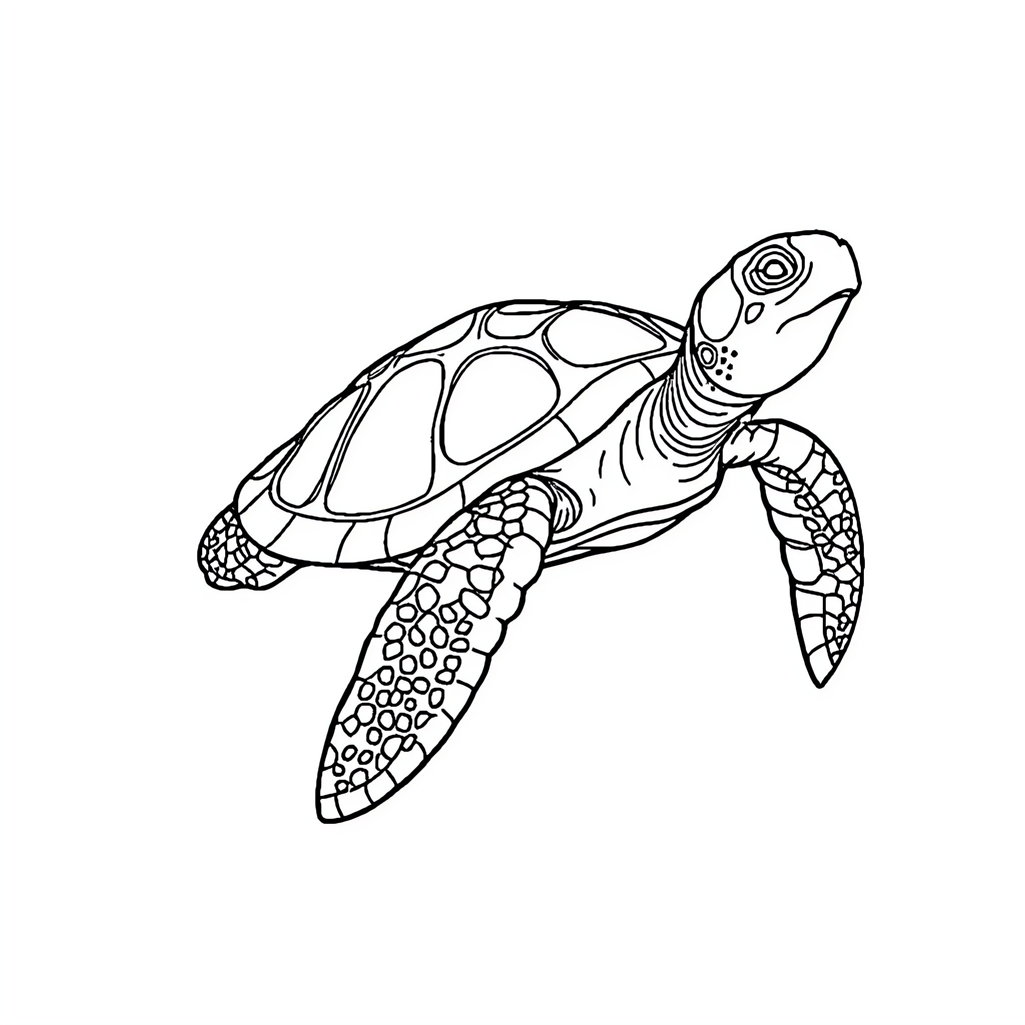 Turtle swimming gracefully in the ocean Coloring Page (free black-and-white line drawing printable PDF for all, from beginners to advanced learners, including children, teens, adults, and seniors)
