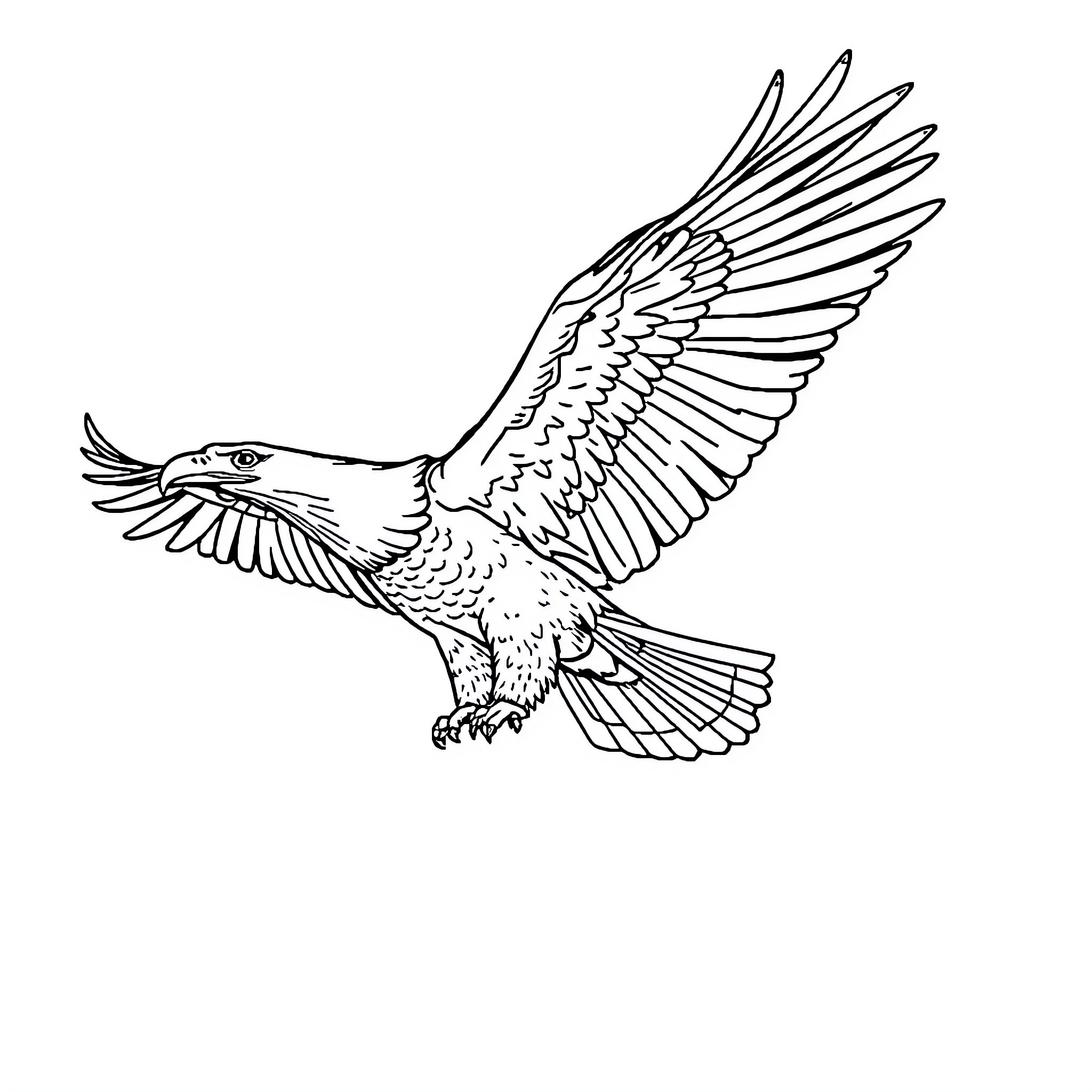 Eagle soaring majestically in the air Coloring Page (free black-and-white line drawing printable PDF for all, from beginners to advanced learners, including children, teens, adults, and seniors)