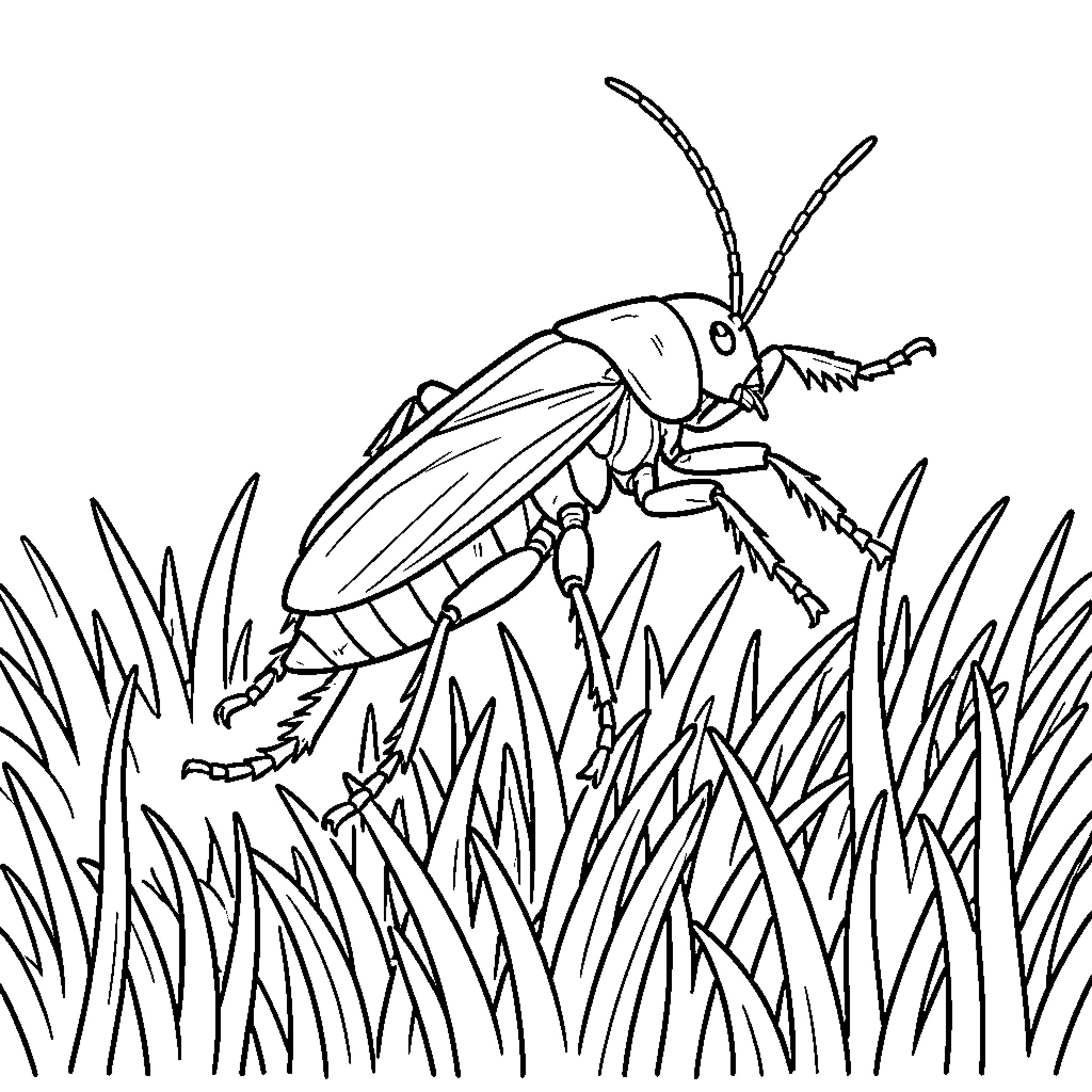 Grasshopper crawling through tall blades of grass Coloring Page (free black-and-white line drawing printable PDF for all, from beginners to advanced learners, including children, teens, adults, and seniors)