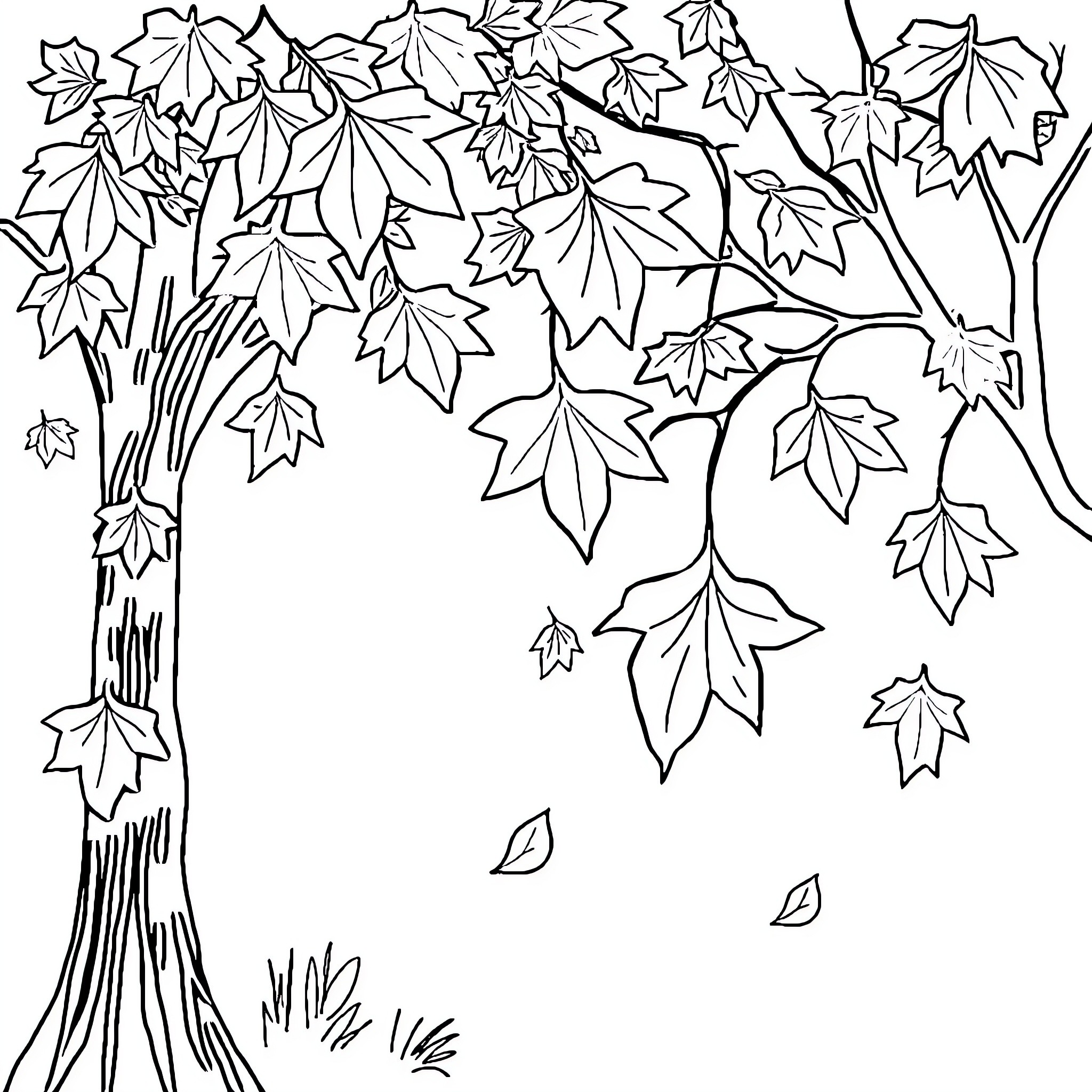 Fall leaves and branches in the wind Coloring Page (free black-and-white line drawing printable PDF for all, from beginners to advanced learners, including children, teens, adults, and seniors)