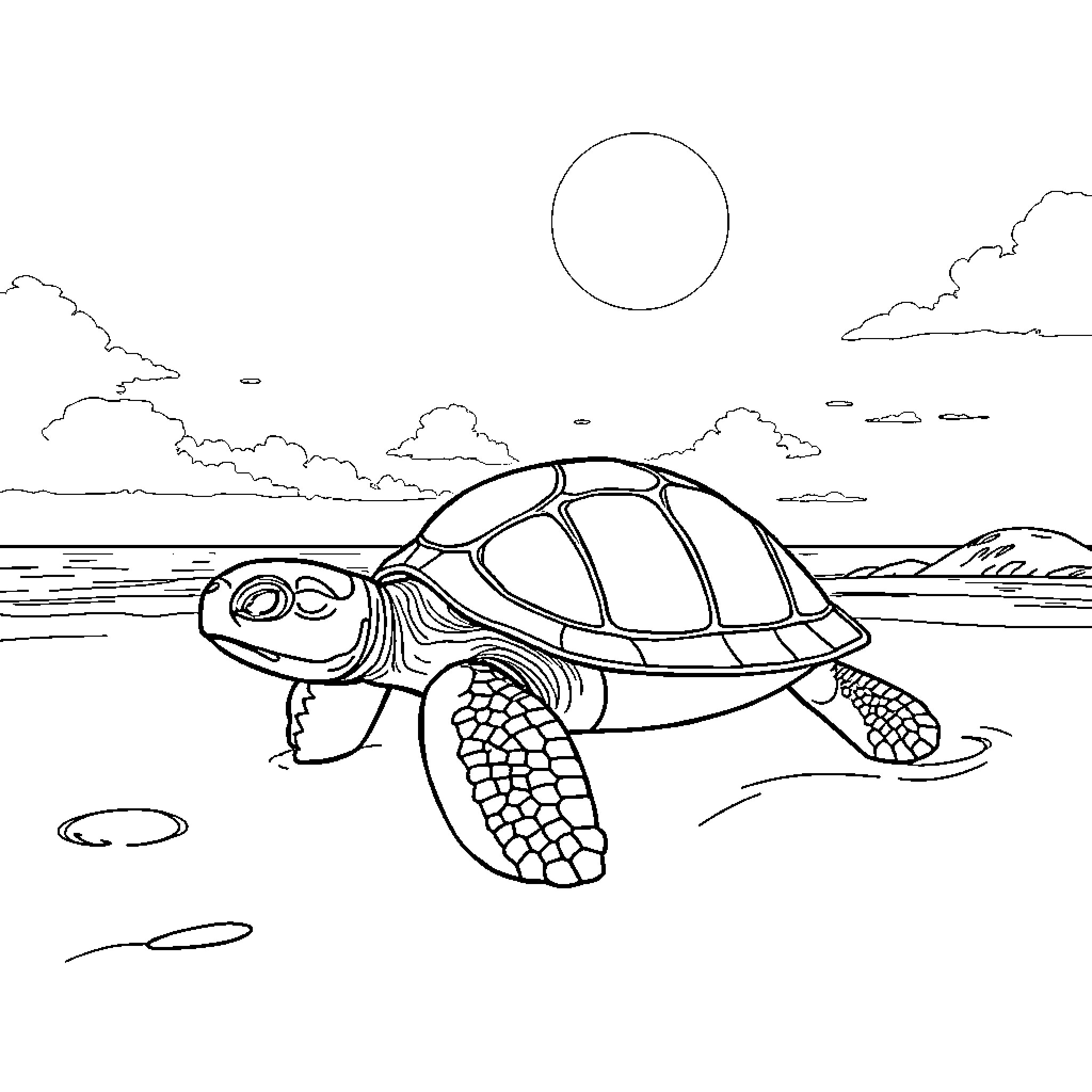 Turtle exploring the tranquil coastal scene Coloring Page (free black-and-white line drawing printable PDF for all, from beginners to advanced learners, including children, teens, adults, and seniors)