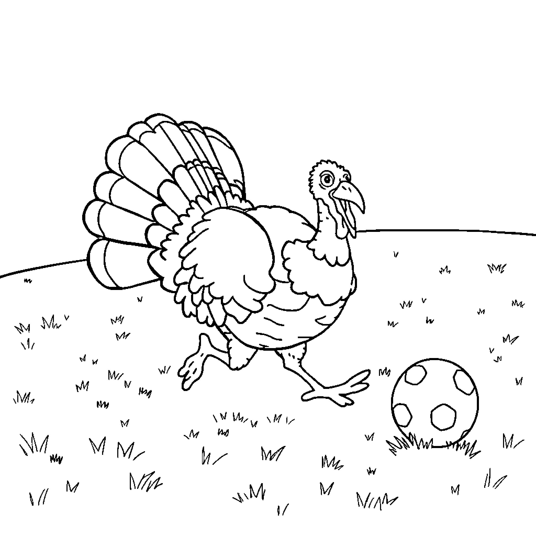 Turkey strutting in the field Coloring Page (free black-and-white line drawing printable PDF for all, from beginners to advanced learners, including children, teens, adults, and seniors)