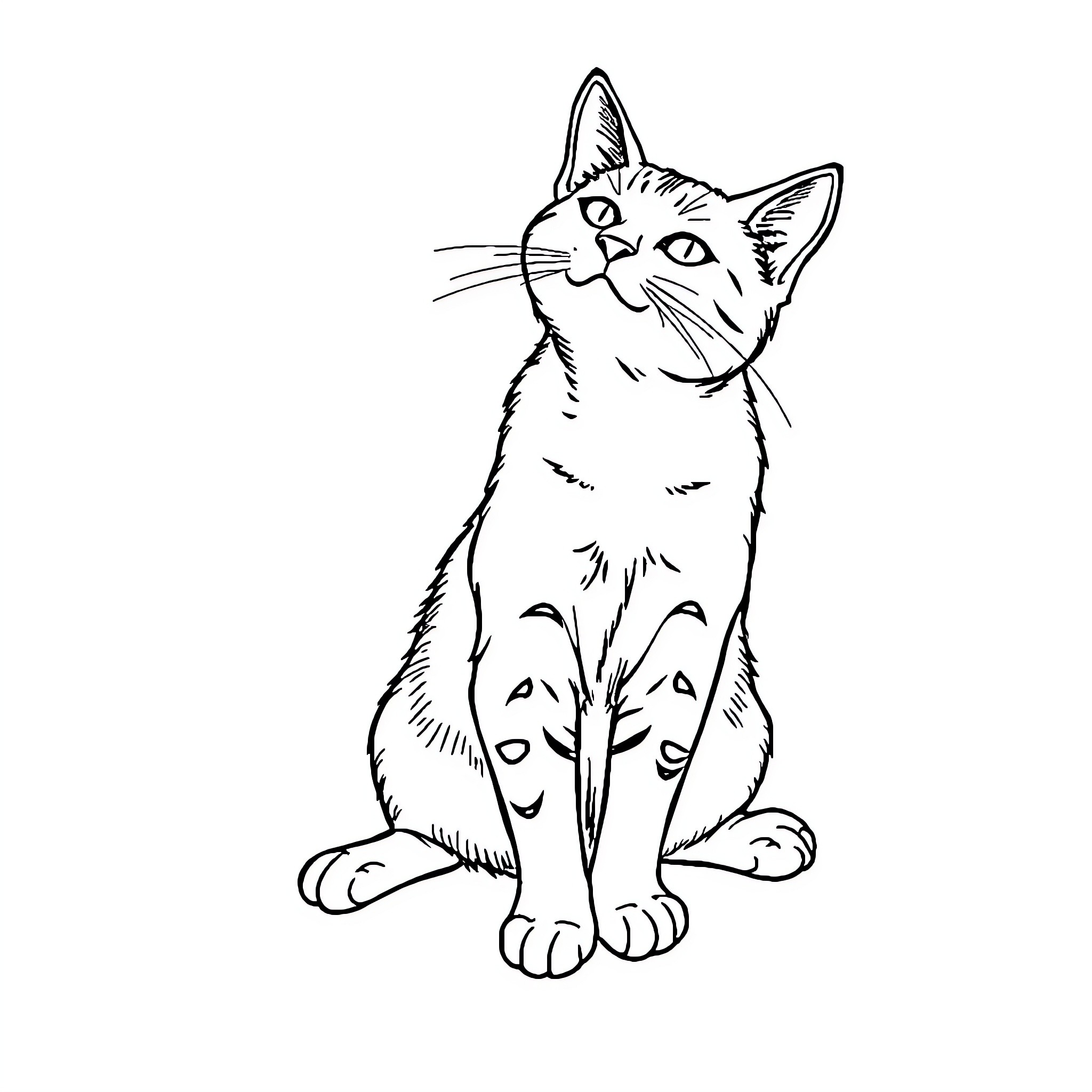 Cat sitting attentively Coloring Page (free black-and-white line drawing printable PDF for all, from beginners to advanced learners, including children, teens, adults, and seniors)