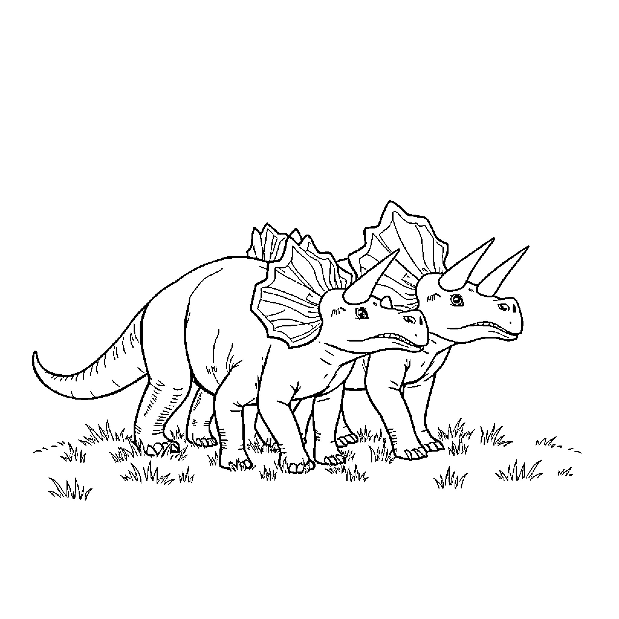 Triceratops roaming in the wild Coloring Page (free black-and-white line drawing printable PDF for all, from beginners to advanced learners, including children, teens, adults, and seniors)