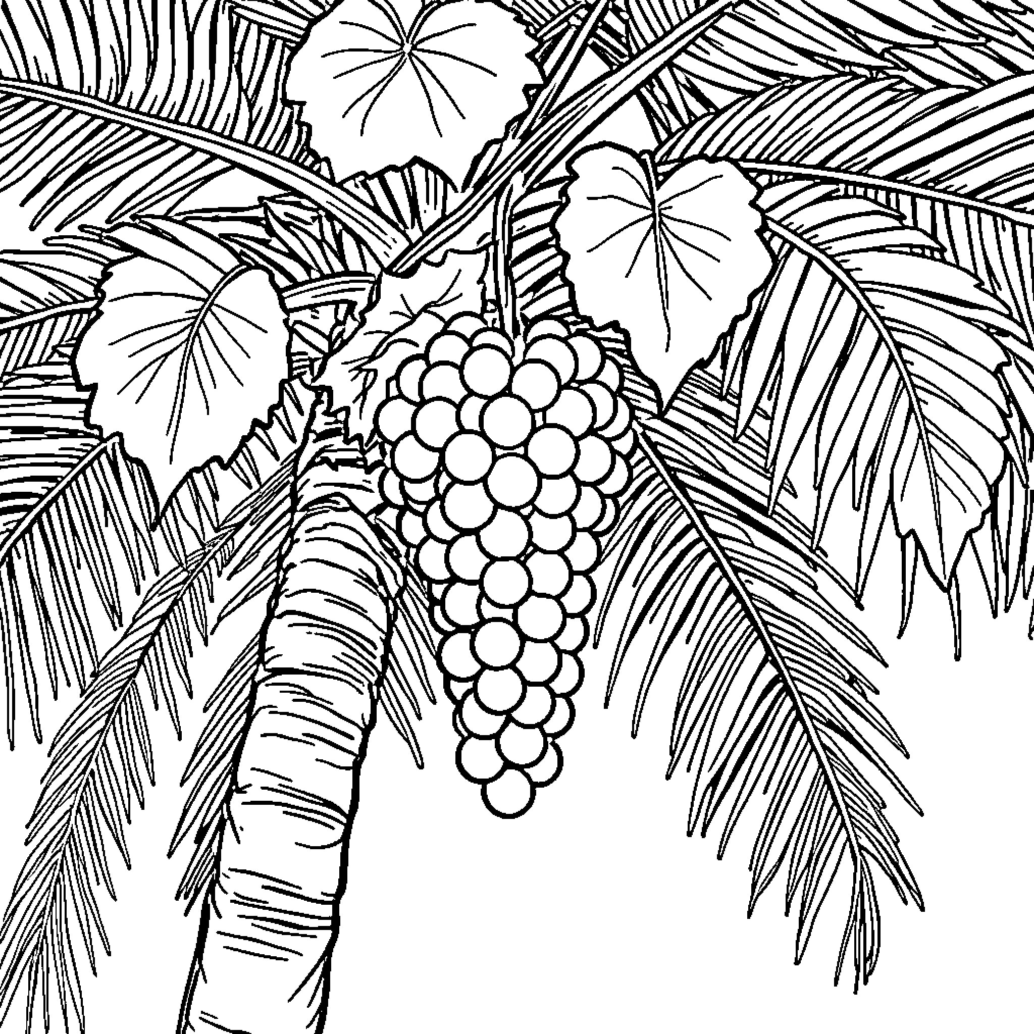 Grape Bunch Amidst Tropical Foliage Coloring Page (free black-and-white line drawing printable PDF for all, from beginners to advanced learners, including children, teens, adults, and seniors)