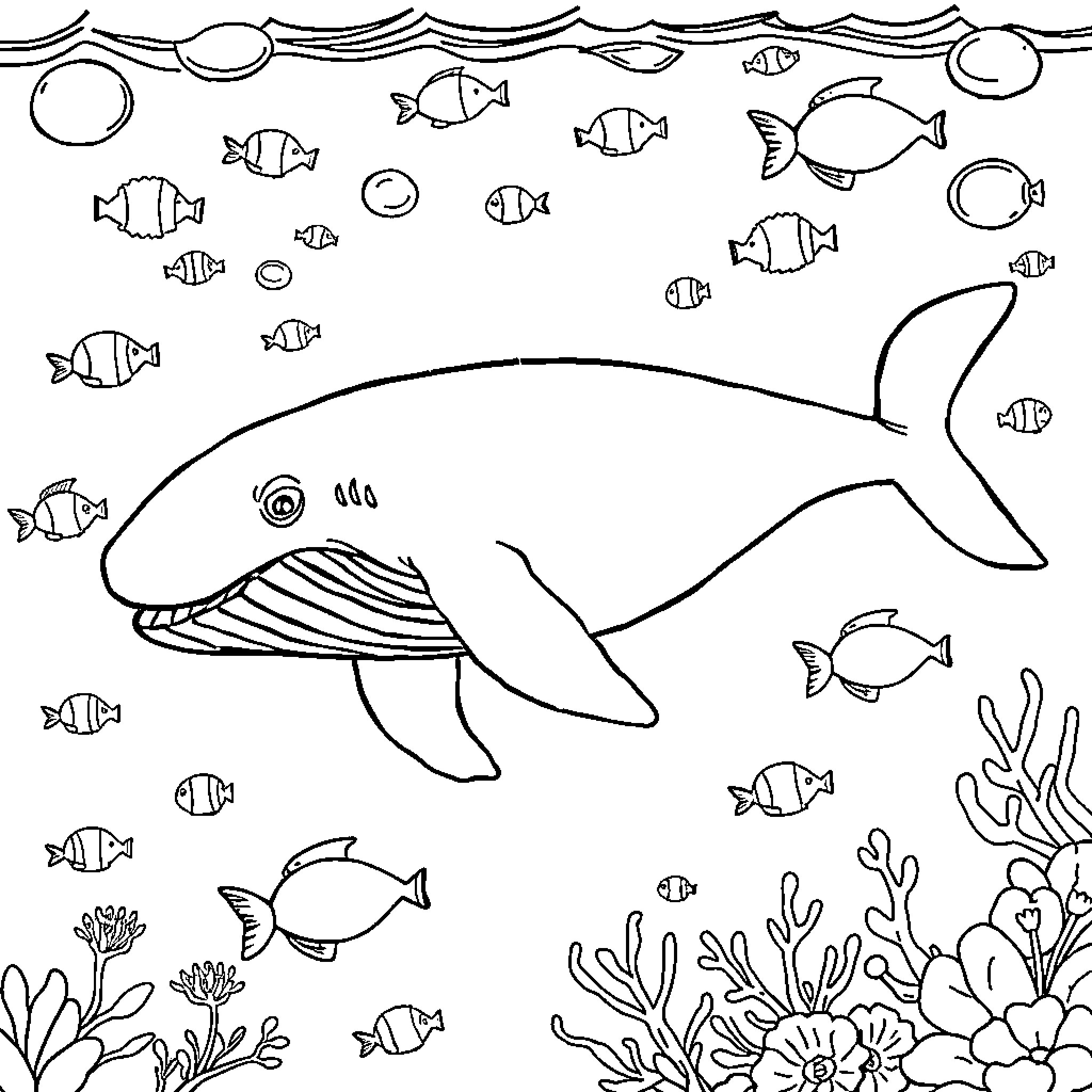 Whale swimming among colorful fish in the ocean Coloring Page (free black-and-white line drawing printable PDF for all, from beginners to advanced learners, including children, teens, adults, and seniors)