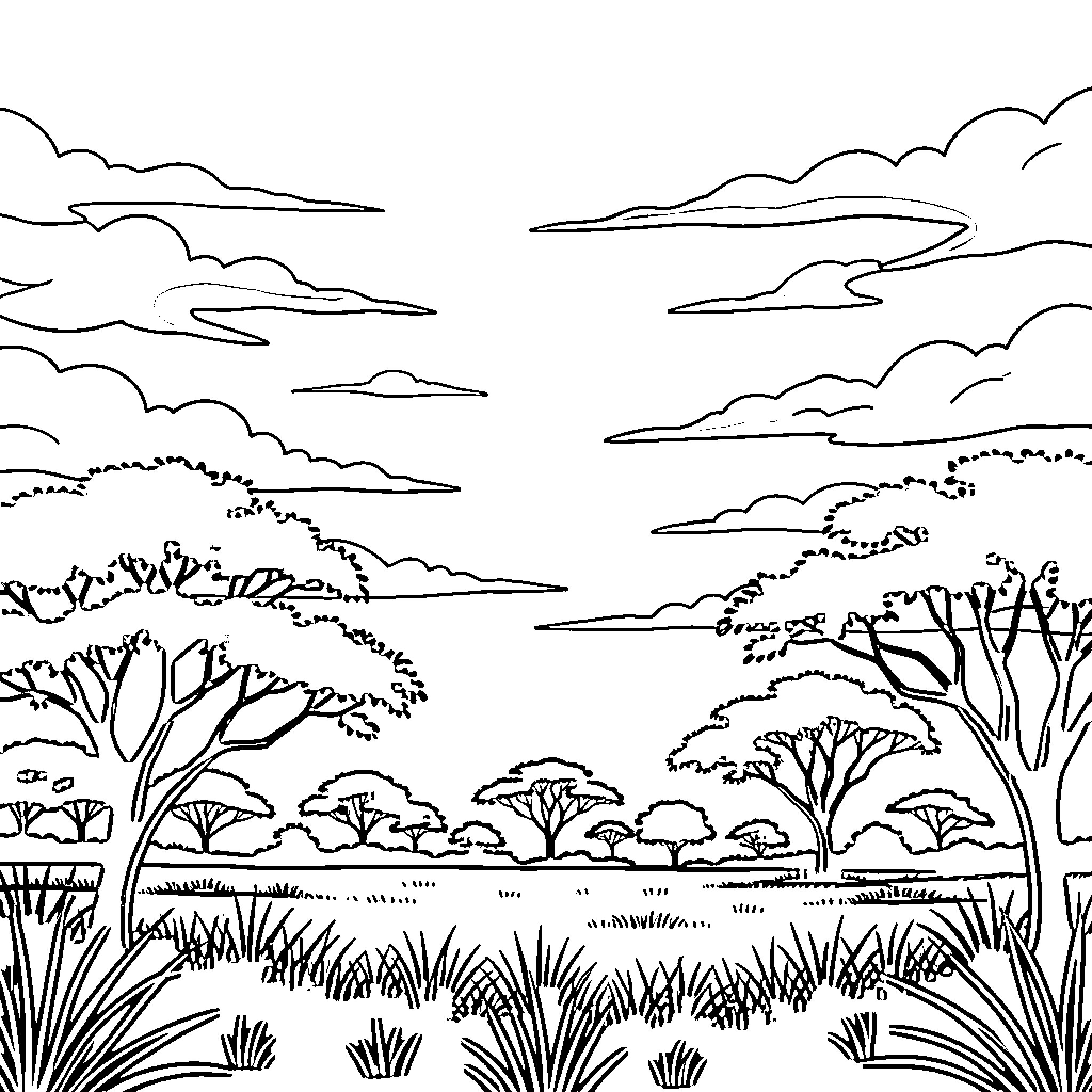 Kruger National Park scenic landscape with trees and clouds Coloring Page (free black-and-white line drawing printable PDF for all, from beginners to advanced learners, including children, teens, adults, and seniors)