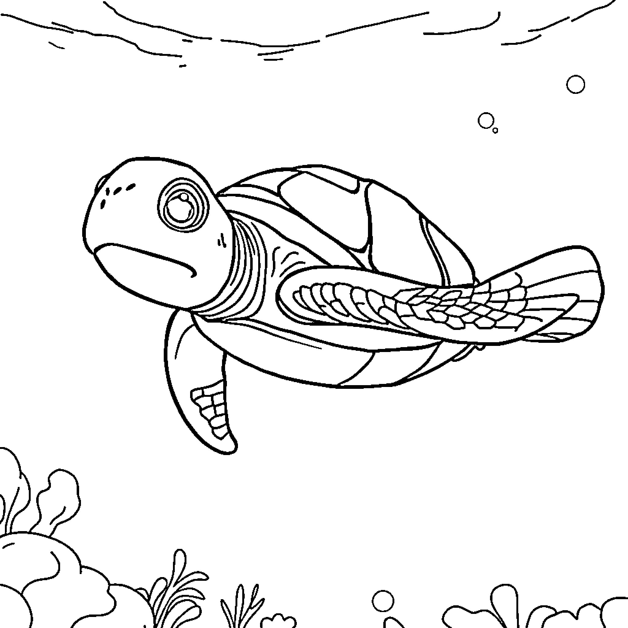 Turtle swimming gracefully in the ocean Coloring Page (free black-and-white line drawing printable PDF for all, from beginners to advanced learners, including children, teens, adults, and seniors)