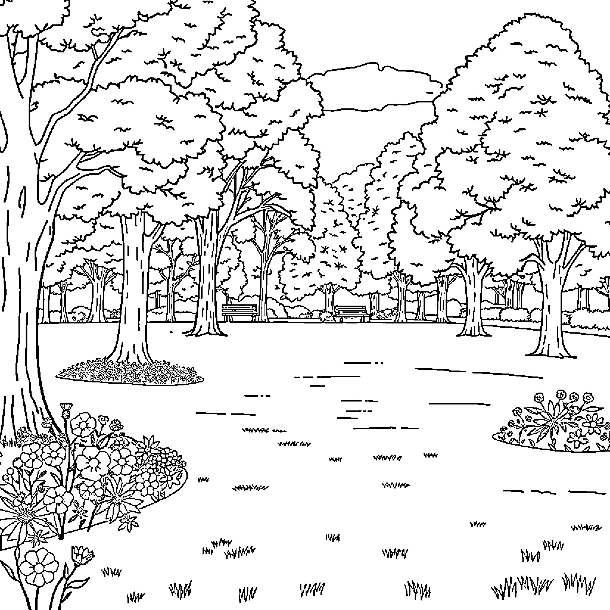 Park with Lush Foliage and Tranquil Scenery Coloring Page (free black-and-white line drawing printable PDF for all, from beginners to advanced learners, including children, teens, adults, and seniors)