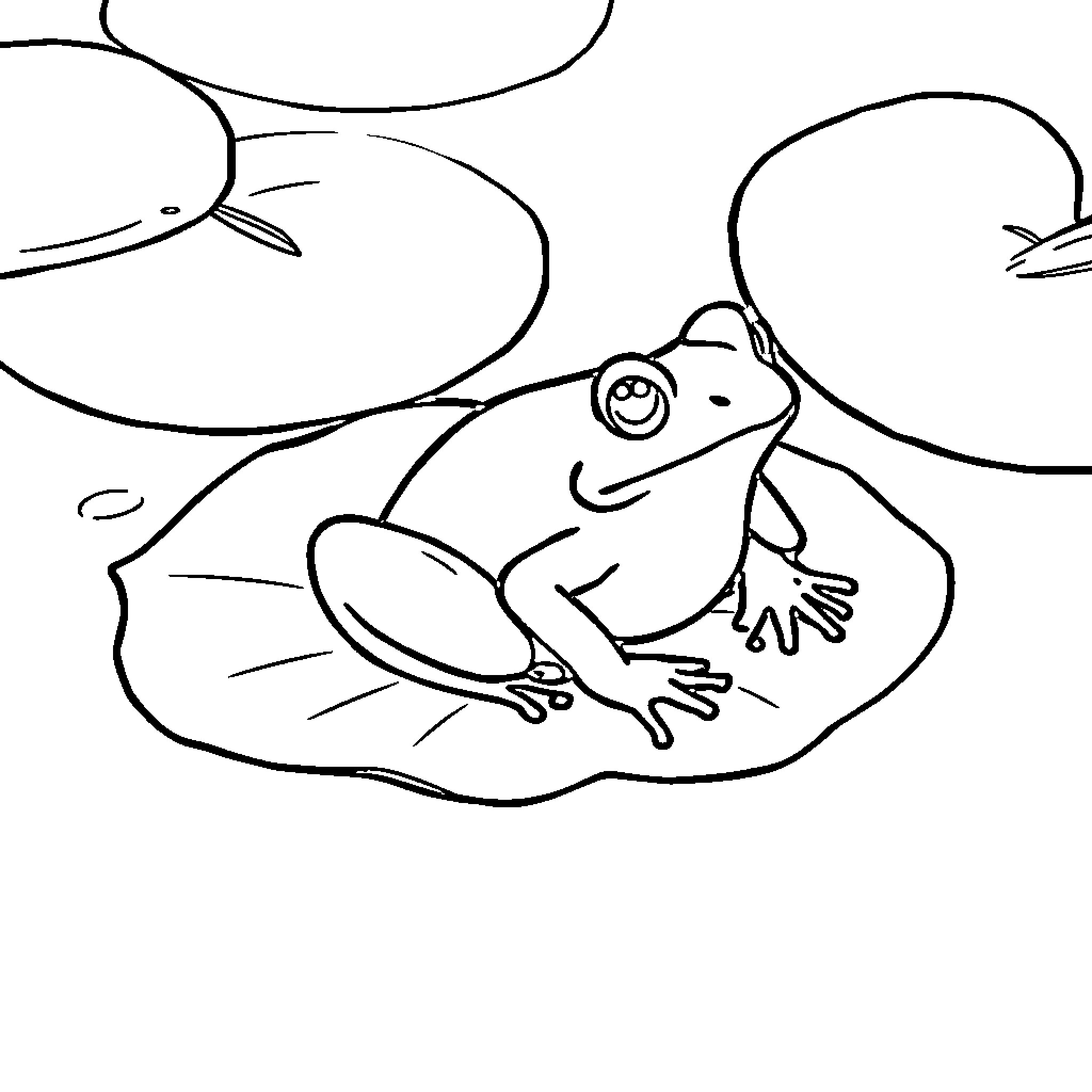 Frog sitting contentedly on a lily pad Coloring Page (free black-and-white line drawing printable PDF for all, from beginners to advanced learners, including children, teens, adults, and seniors)