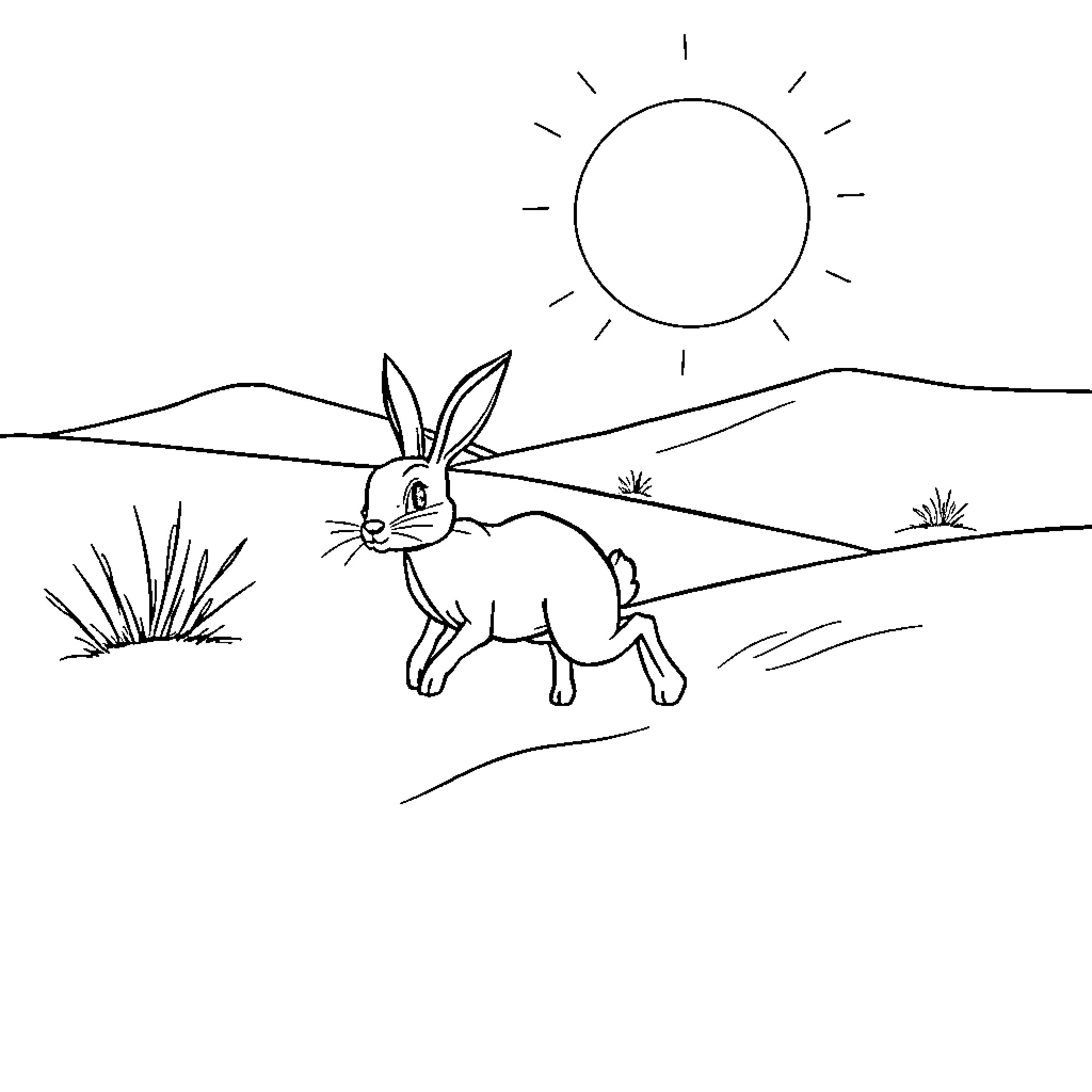 Hare running in the sunny meadow Coloring Page (free black-and-white line drawing printable PDF for all, from beginners to advanced learners, including children, teens, adults, and seniors)