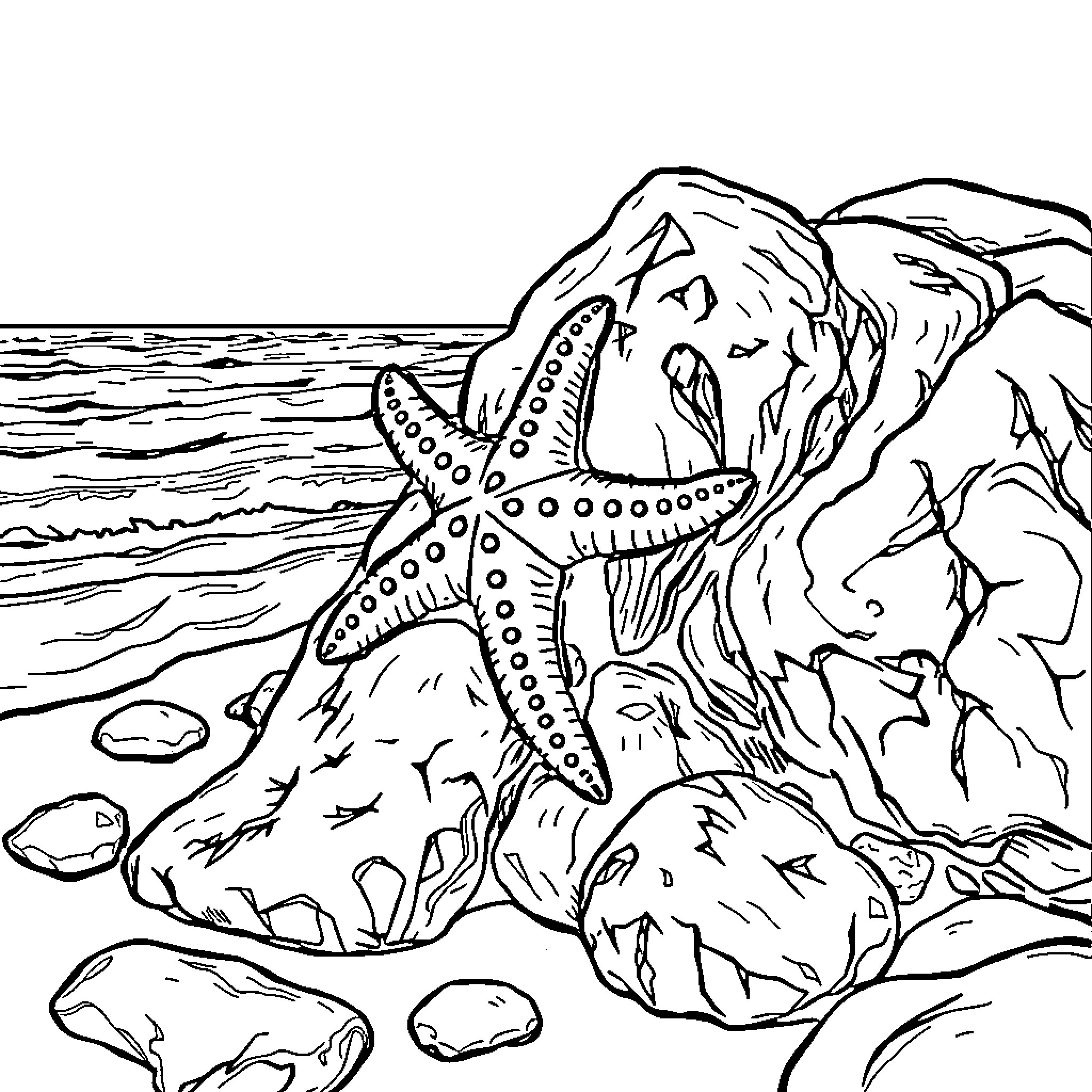 Starfish resting on the rocky seashore Coloring Page (free black-and-white line drawing printable PDF for all, from beginners to advanced learners, including children, teens, adults, and seniors)