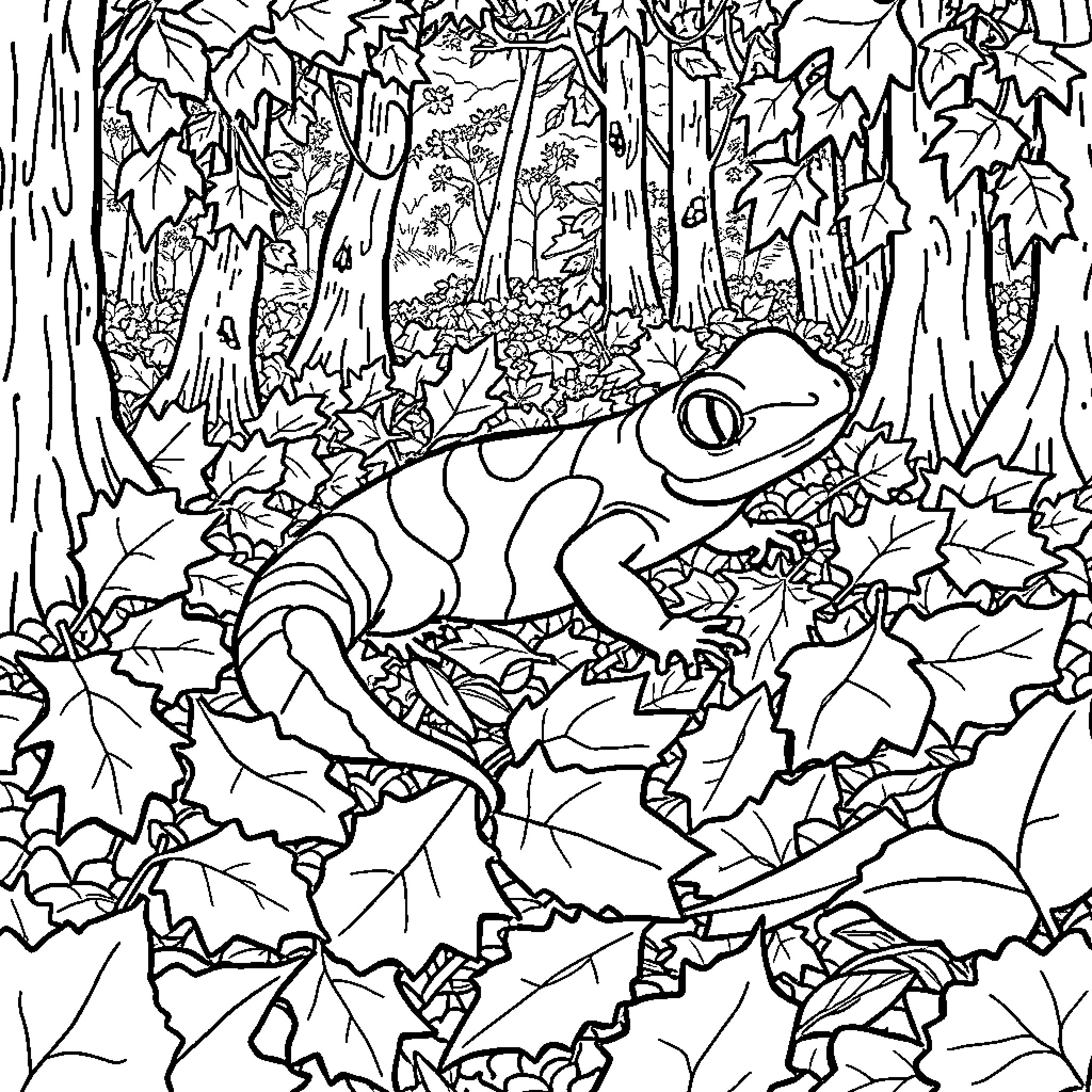 Salamander in a forest of autumn leaves Coloring Page (free black-and-white line drawing printable PDF for all, from beginners to advanced learners, including children, teens, adults, and seniors)