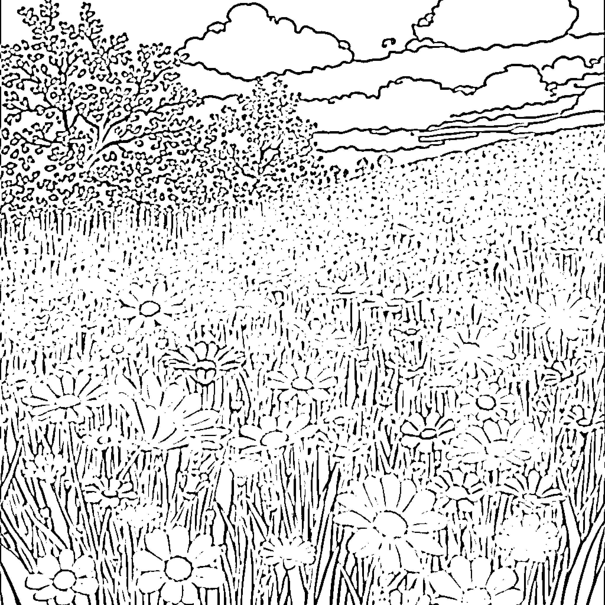 Flower field with cloudy sky Coloring Page (free black-and-white line drawing printable PDF for all, from beginners to advanced learners, including children, teens, adults, and seniors)