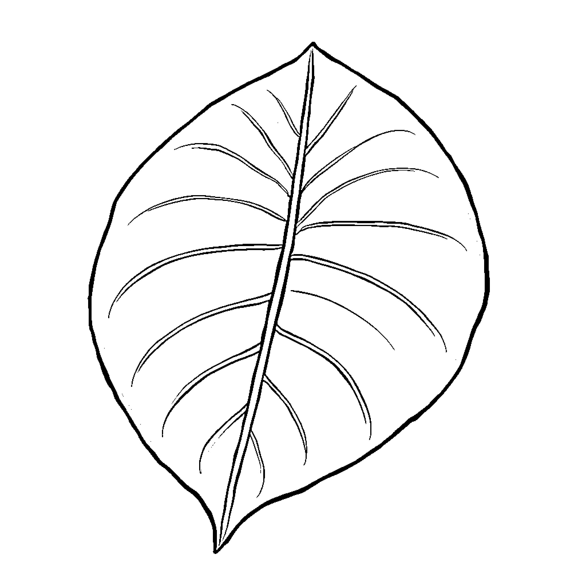 Leaf in Monochrome Sketch Coloring Page (free black-and-white line drawing printable PDF for all, from beginners to advanced learners, including children, teens, adults, and seniors)