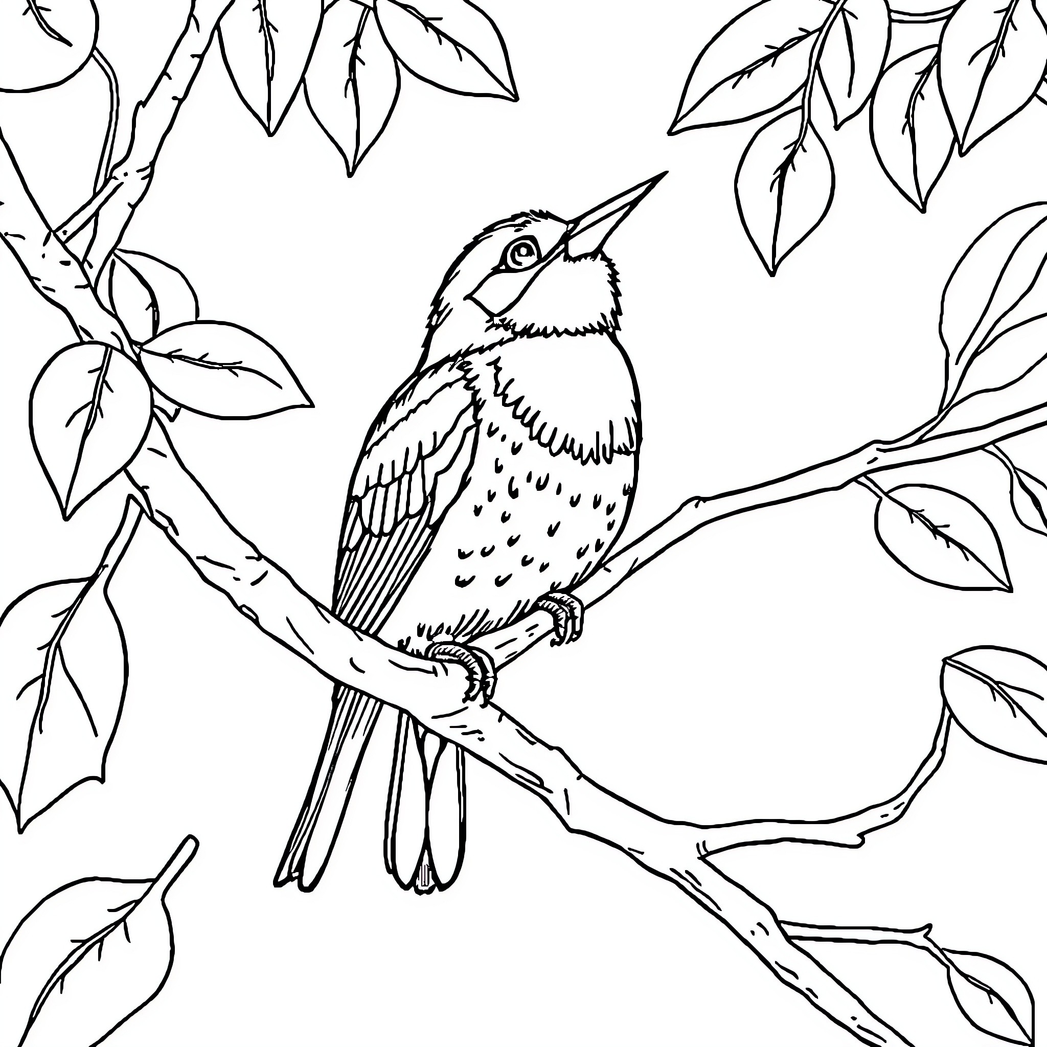 Bird perched on tree branch surrounded by leaves Coloring Page (free black-and-white line drawing printable PDF for all, from beginners to advanced learners, including children, teens, adults, and seniors)