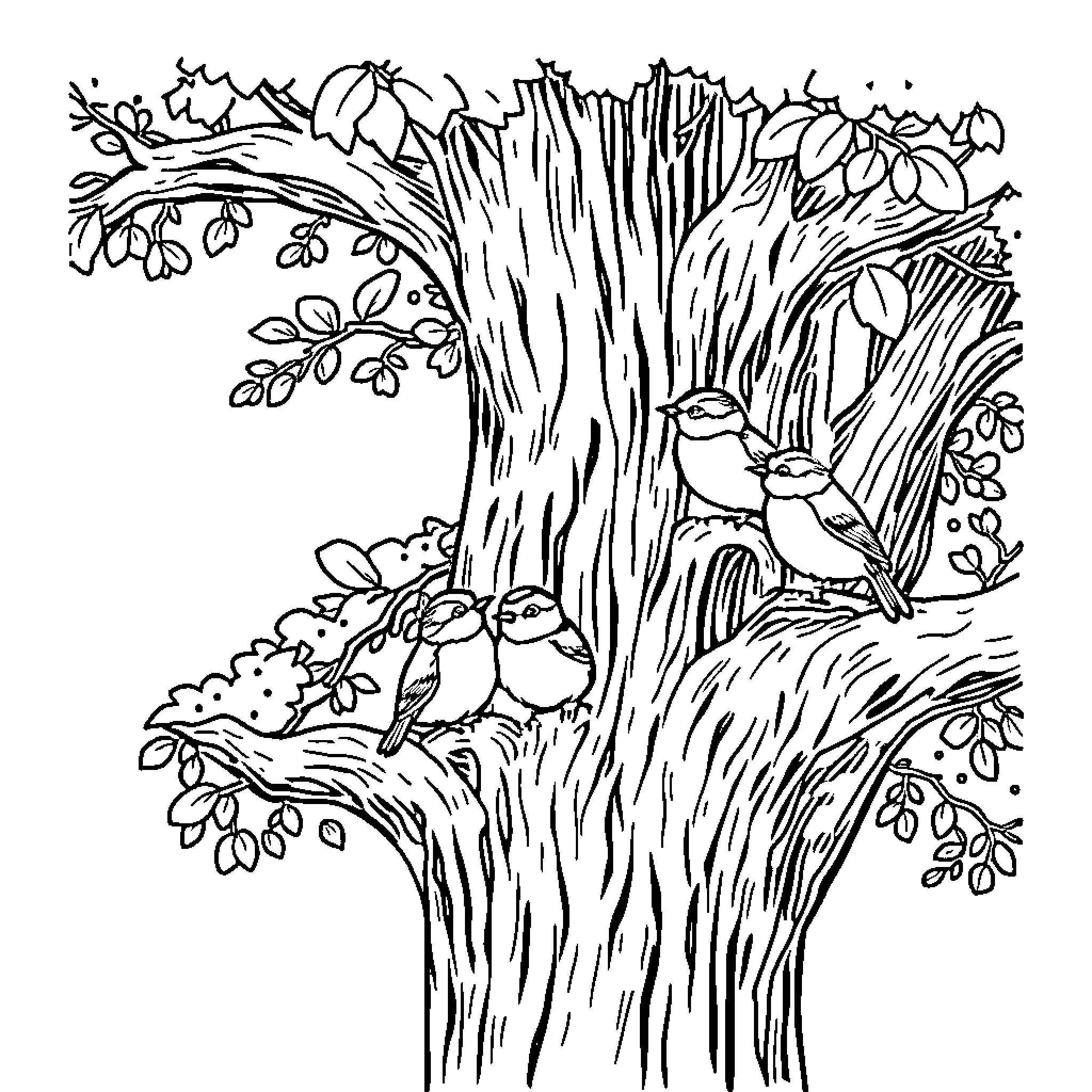 Tit Birds Nesting in Lush Woodland Coloring Page (free black-and-white line drawing printable PDF for all, from beginners to advanced learners, including children, teens, adults, and seniors)