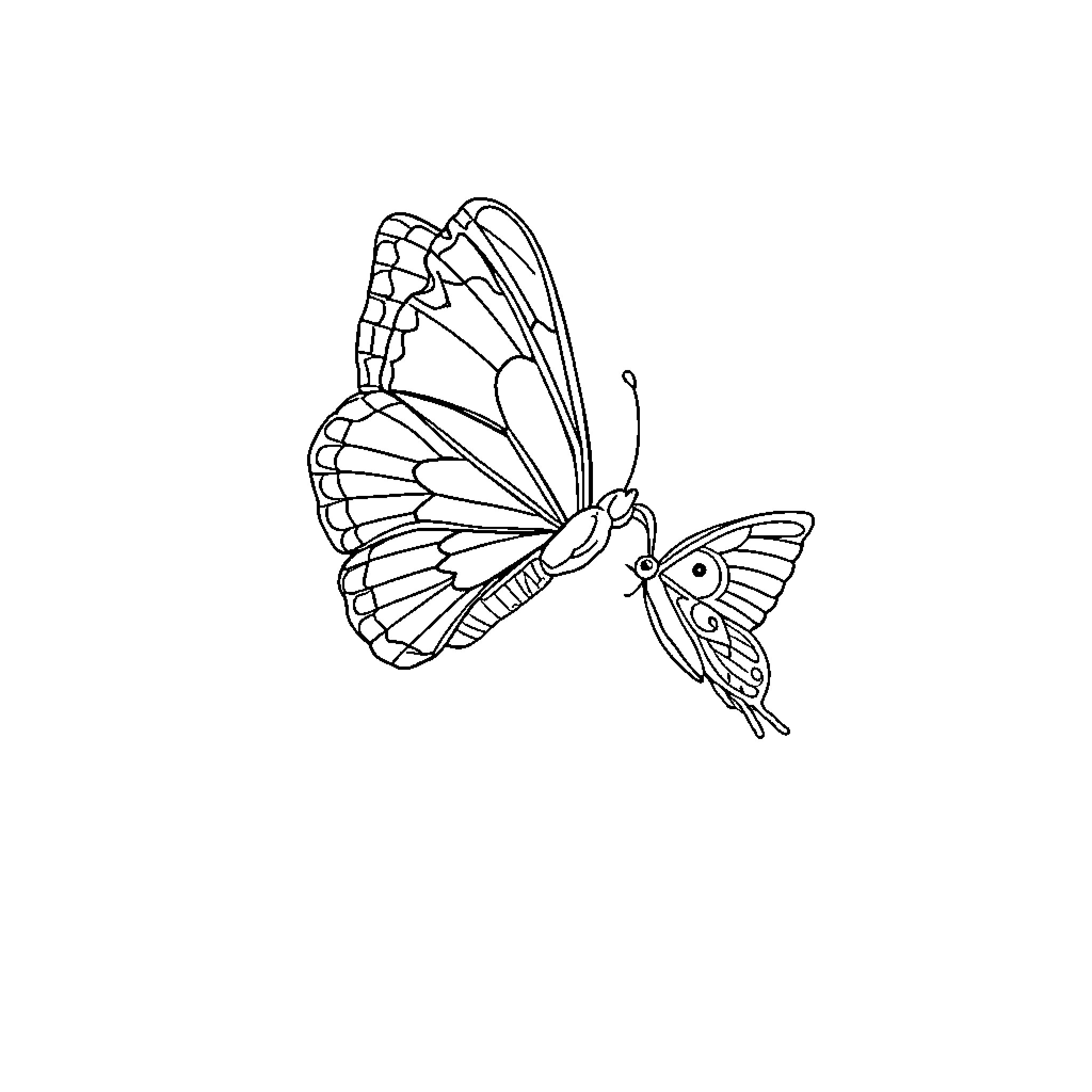 Butterfly in flight with detailed wings Coloring Page (free black-and-white line drawing printable PDF for all, from beginners to advanced learners, including children, teens, adults, and seniors)