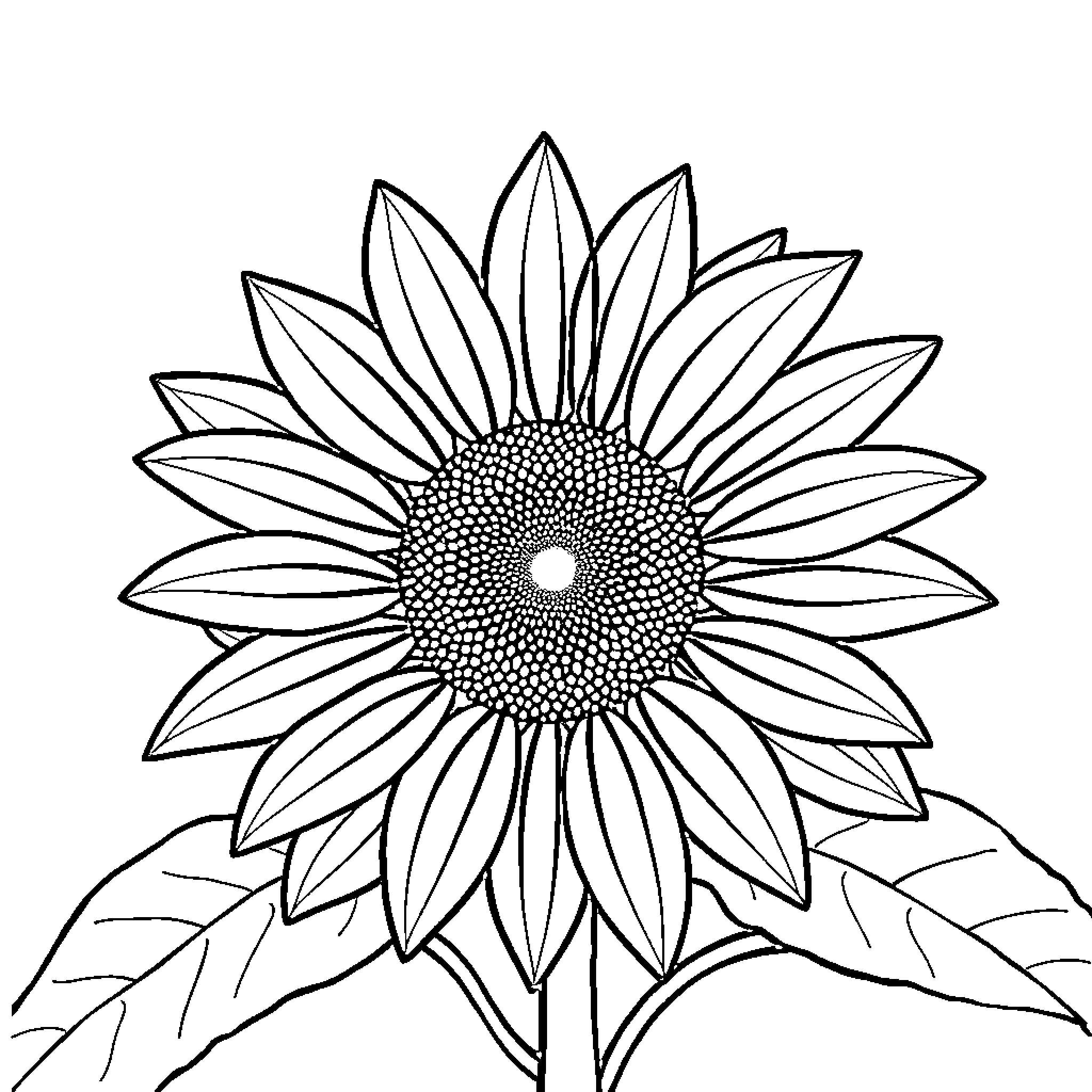 Sunflower in monochrome illustration Coloring Page (free black-and-white line drawing printable PDF for all, from beginners to advanced learners, including children, teens, adults, and seniors)