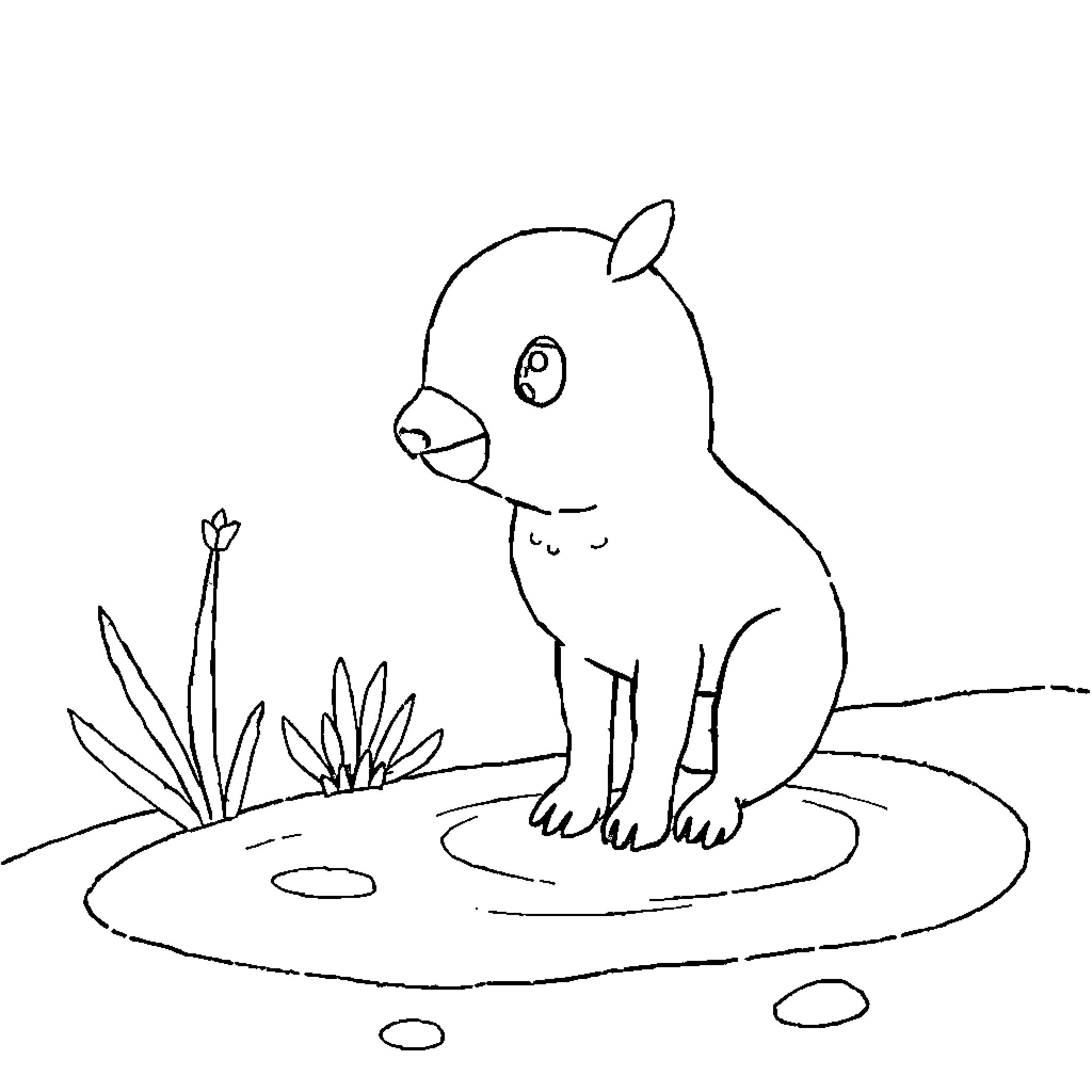 Pie Puppy Playing in the Park Coloring Page (free black-and-white line drawing printable PDF for all, from beginners to advanced learners, including children, teens, adults, and seniors)