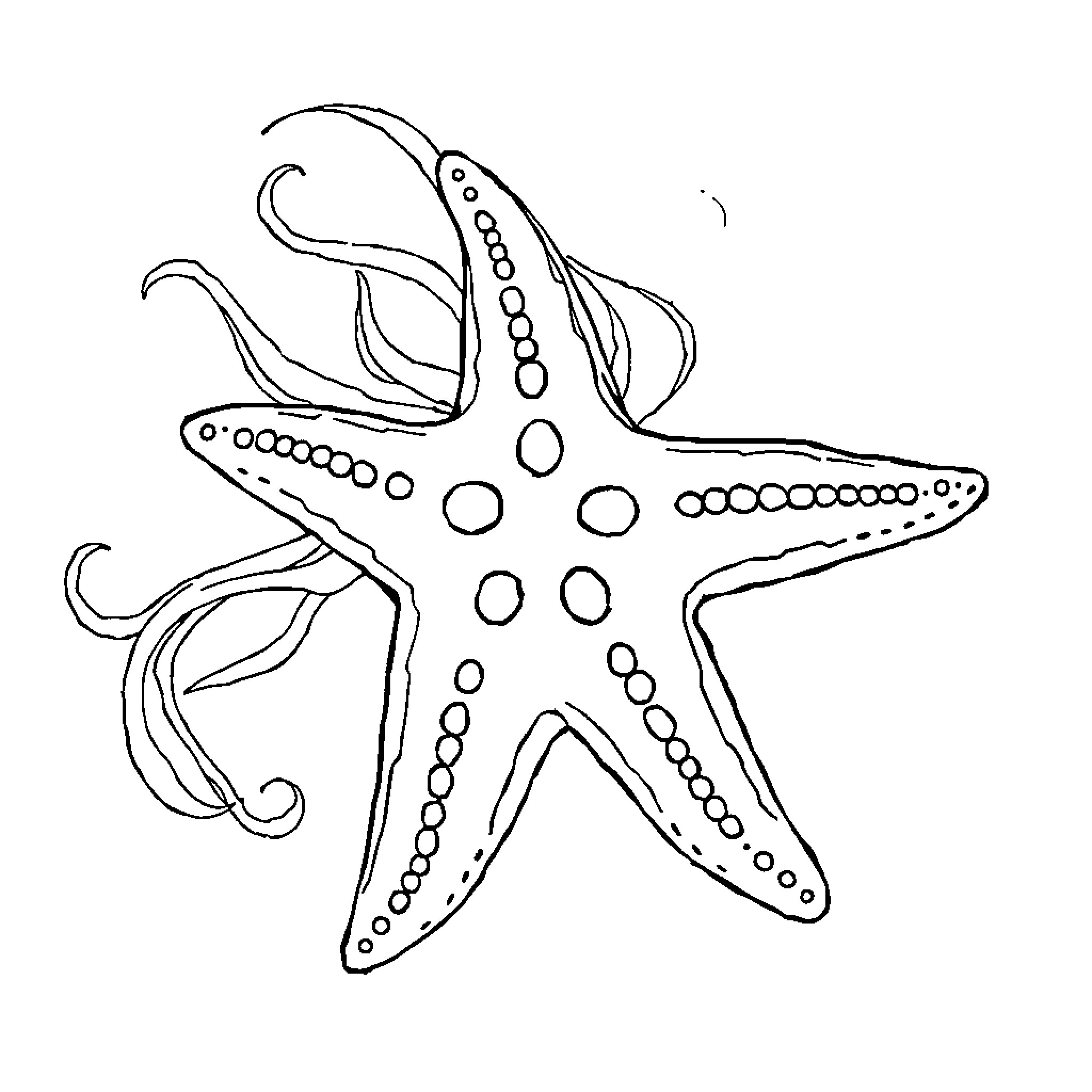 Starfish swimming gracefully in the ocean Coloring Page (free black-and-white line drawing printable PDF for all, from beginners to advanced learners, including children, teens, adults, and seniors)