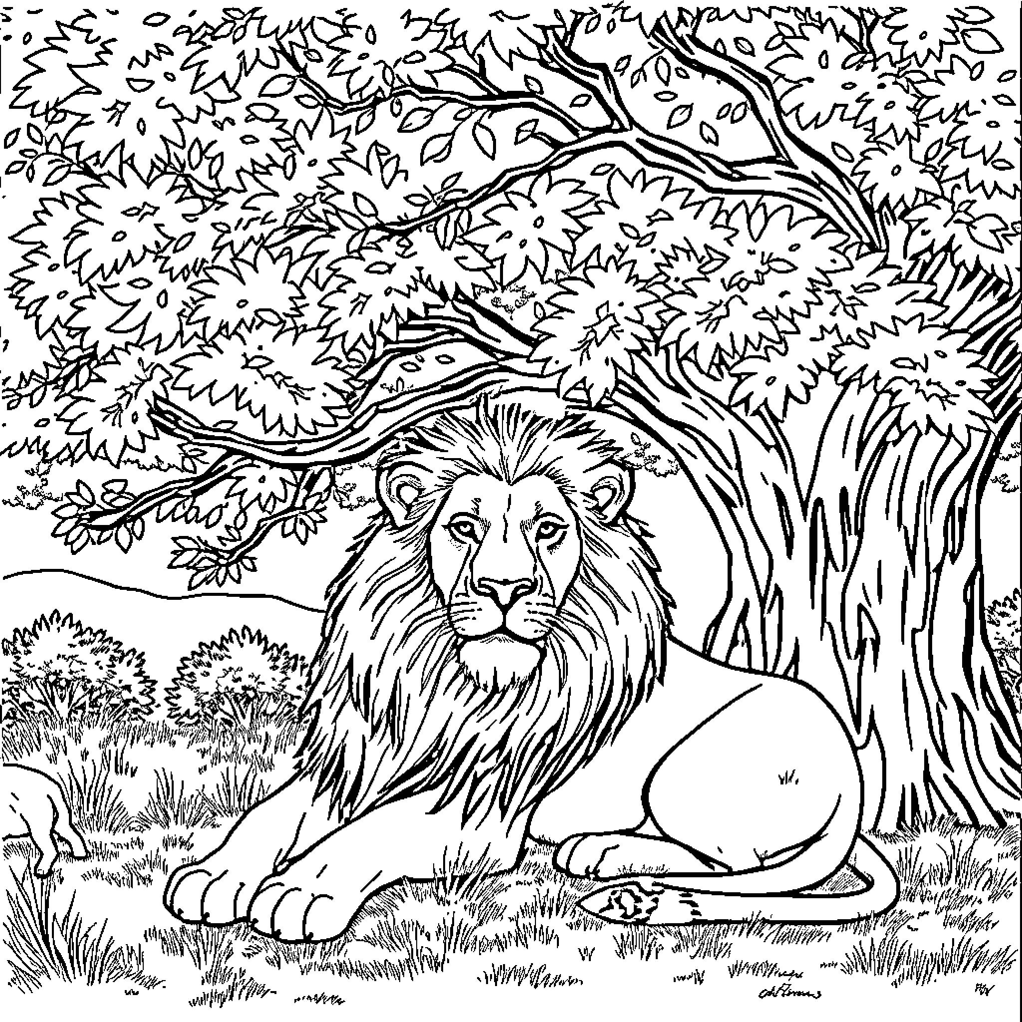 Lion Resting in Lush Woodland Scene Coloring Page (free black-and-white line drawing printable PDF for all, from beginners to advanced learners, including children, teens, adults, and seniors)
