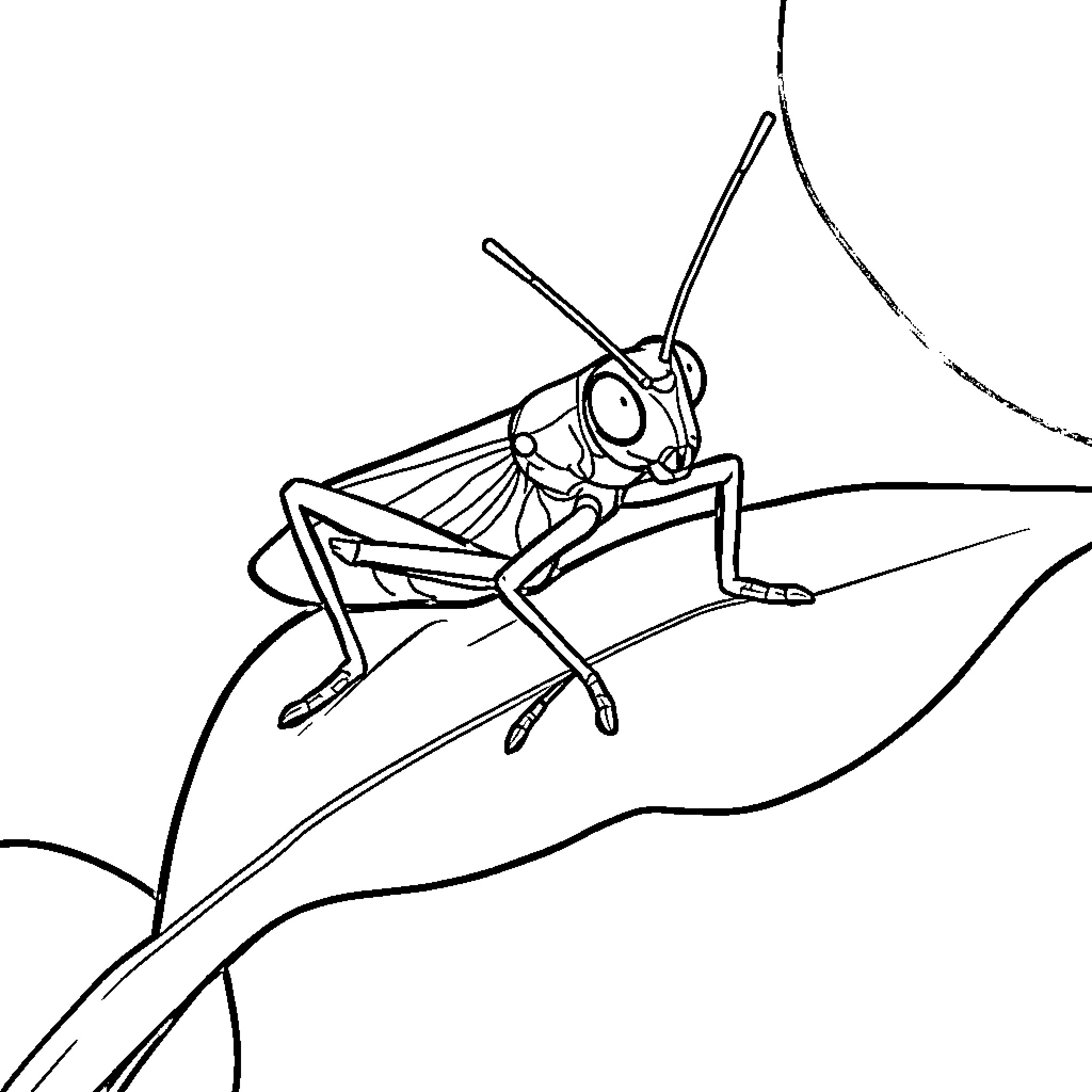 Grasshopper exploring a minimalist landscape Coloring Page (free black-and-white line drawing printable PDF for all, from beginners to advanced learners, including children, teens, adults, and seniors)