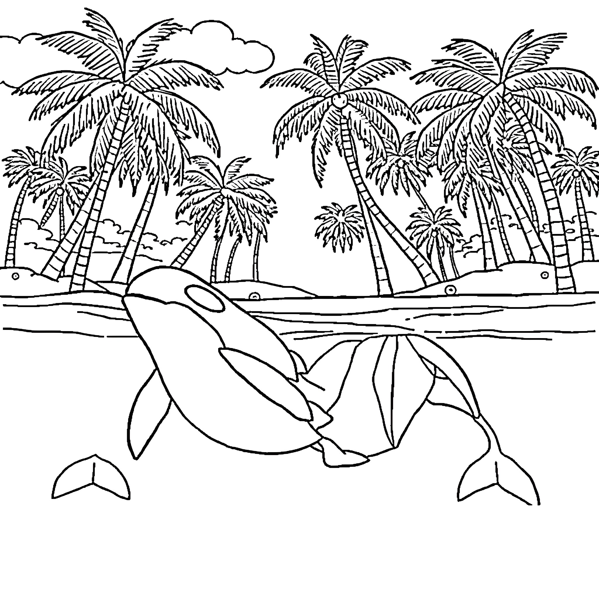 Orca leaping from tropical sea amid palm trees Coloring Page (free black-and-white line drawing printable PDF for all, from beginners to advanced learners, including children, teens, adults, and seniors)