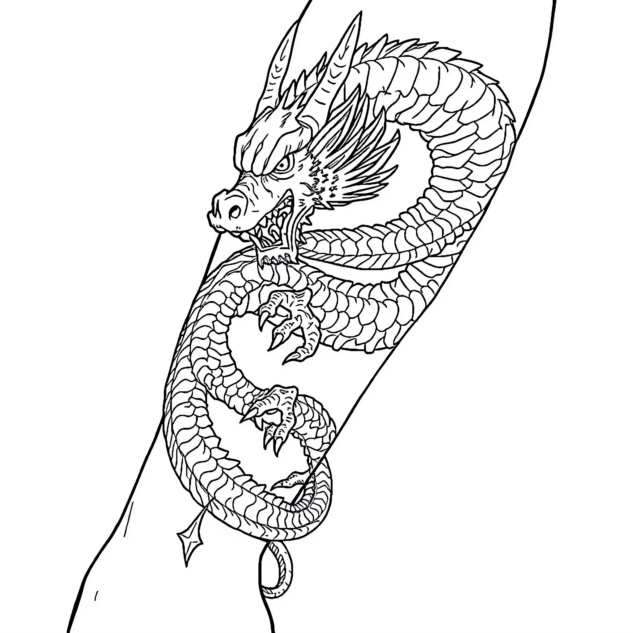 Dragon coiled around sword with fierce expression Coloring Page (free black-and-white line drawing printable PDF for all, from beginners to advanced learners, including children, teens, adults, and seniors)