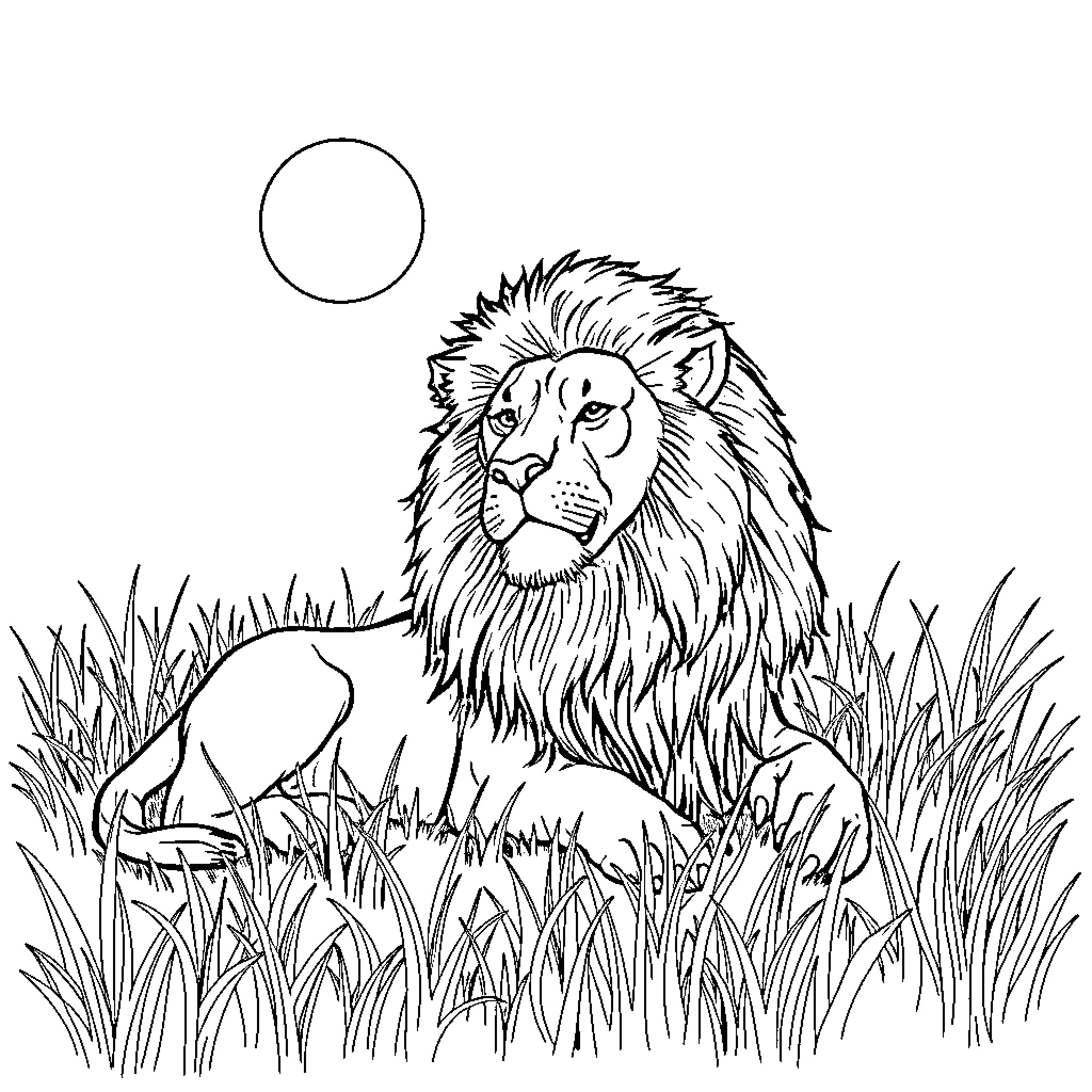 Lion relaxing in the tall grass under the moon Coloring Page (free black-and-white line drawing printable PDF for all, from beginners to advanced learners, including children, teens, adults, and seniors)