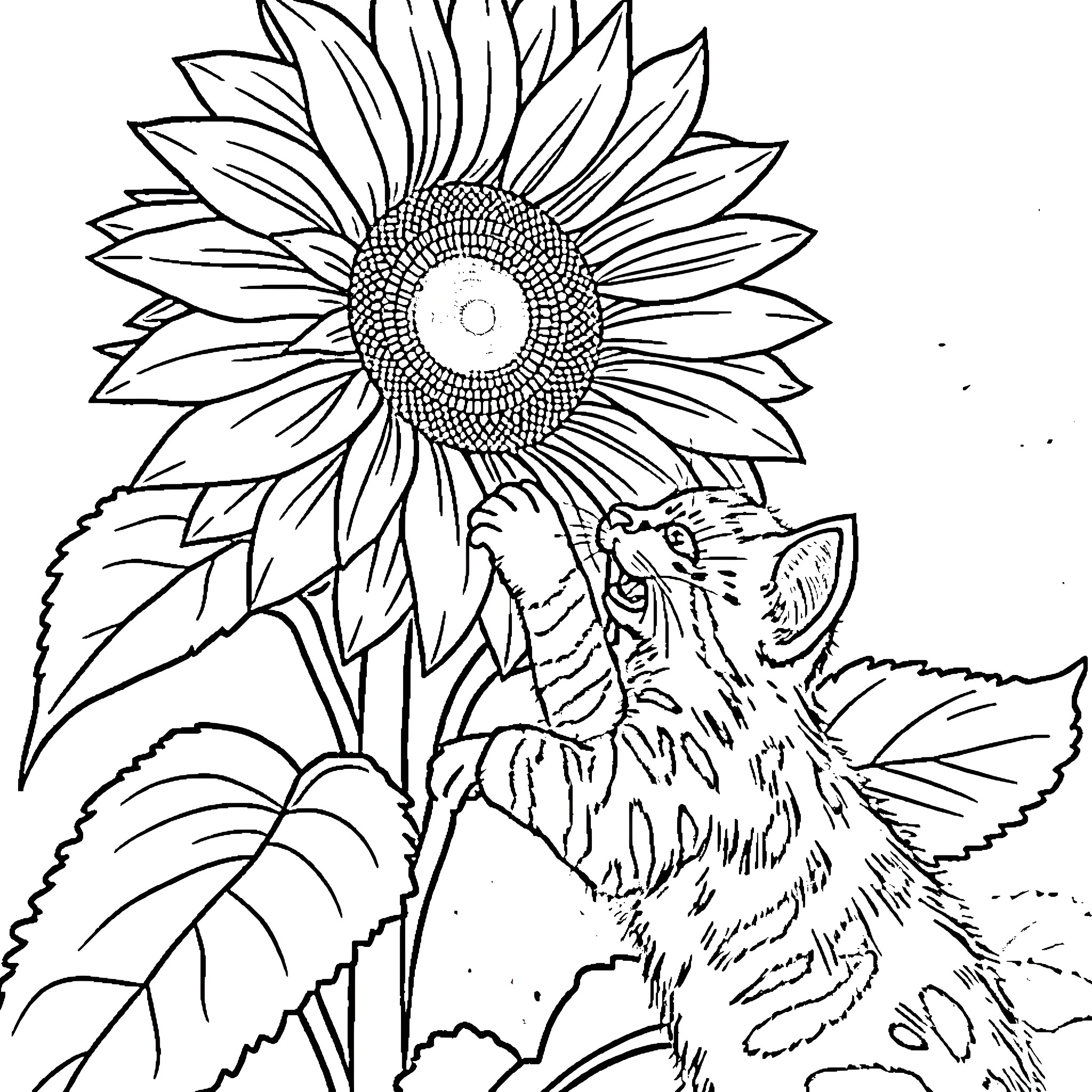 Sunflower and curious animal in nature Coloring Page (free black-and-white line drawing printable PDF for all, from beginners to advanced learners, including children, teens, adults, and seniors)