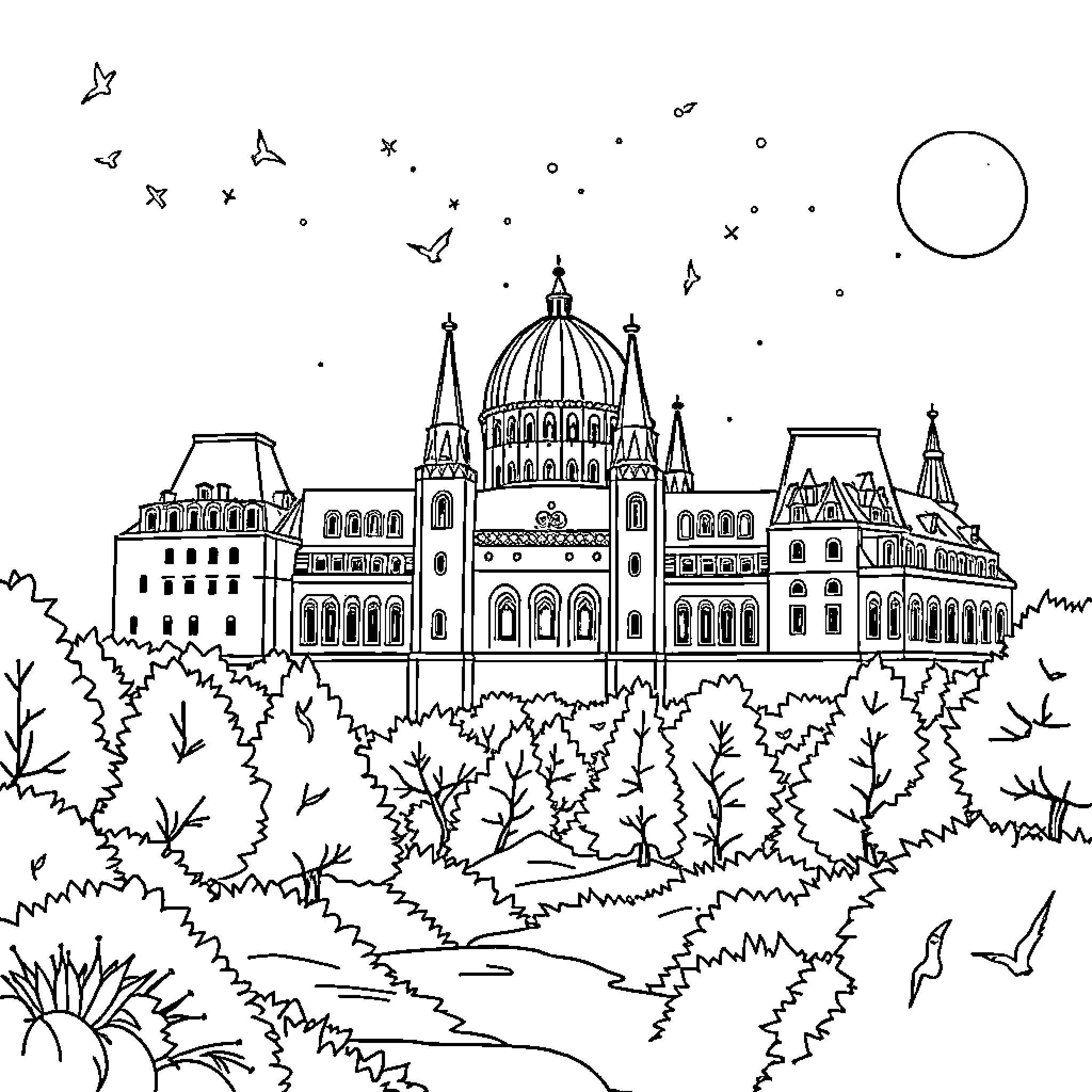 Vezető Jegyvizsgáló: Ornate city skyline at night Coloring Page (free black-and-white line drawing printable PDF for all, from beginners to advanced learners, including children, teens, adults, and seniors)