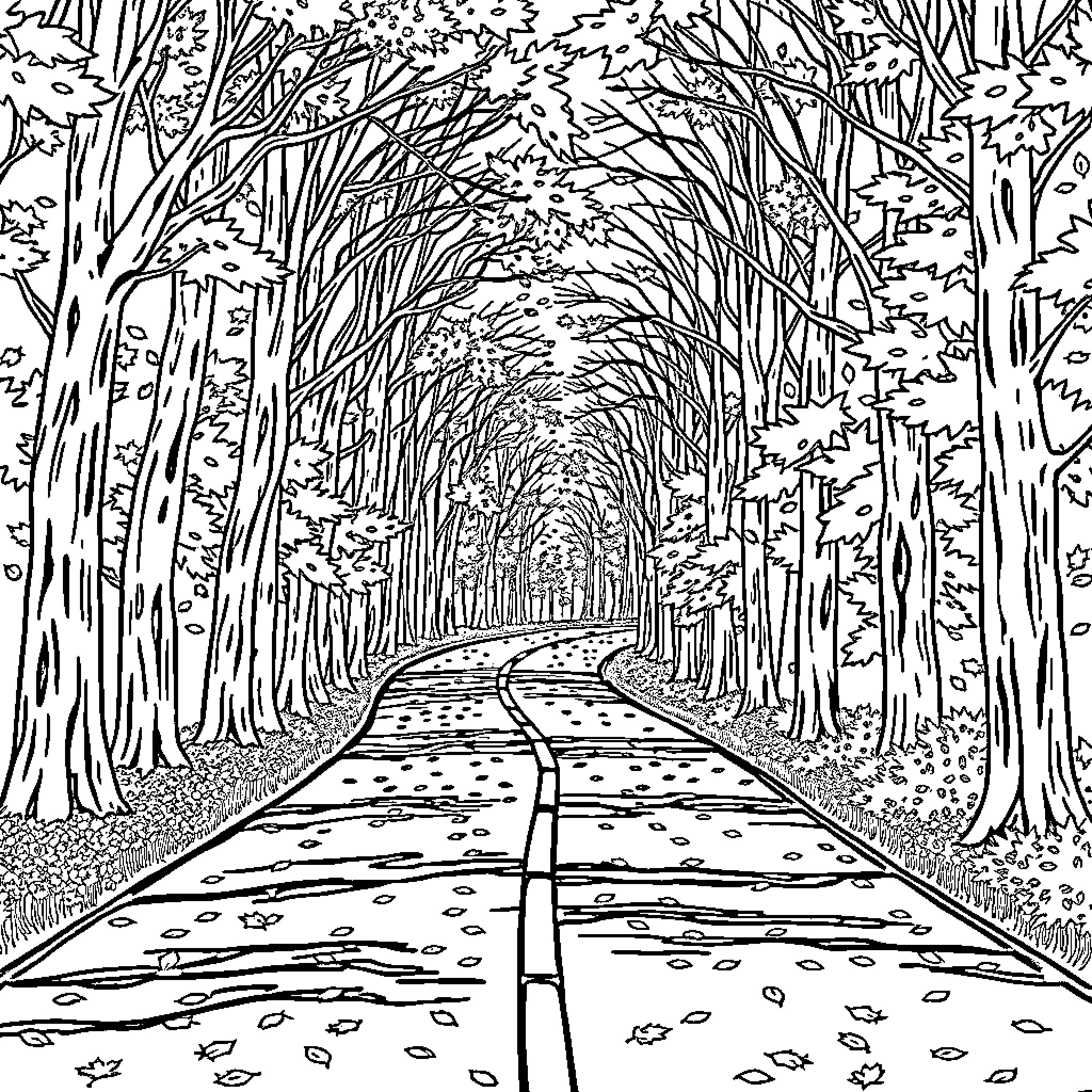 Road through Magical Forest Landscape Coloring Page (free black-and-white line drawing printable PDF for all, from beginners to advanced learners, including children, teens, adults, and seniors)