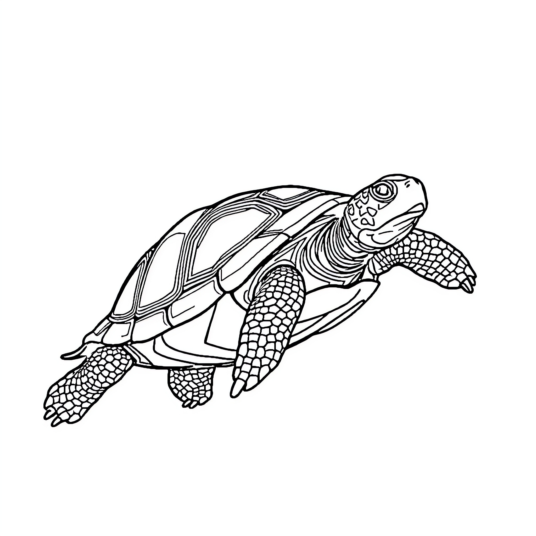 Tortoise swimming gracefully in the water Coloring Page (free black-and-white line drawing printable PDF for all, from beginners to advanced learners, including children, teens, adults, and seniors)