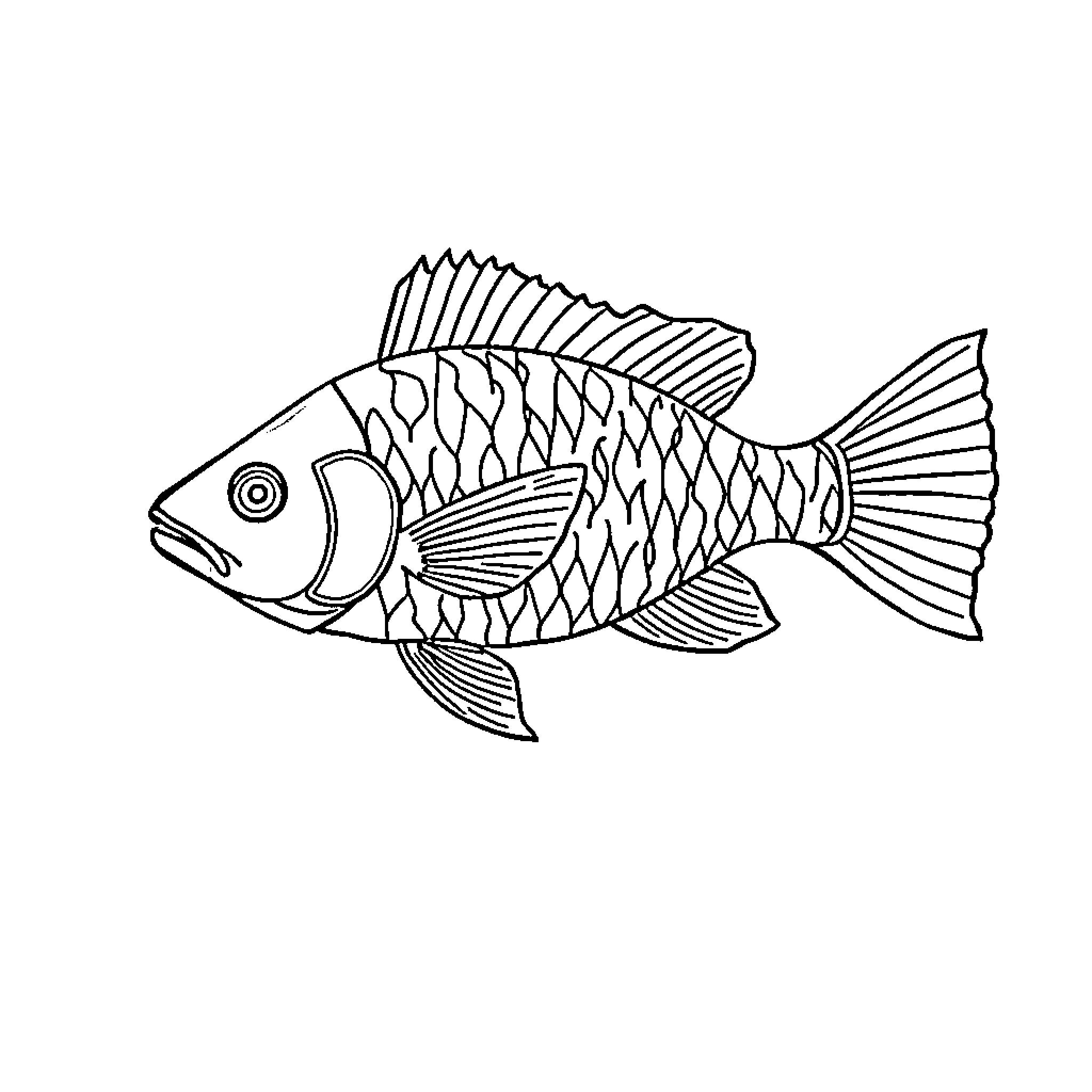 Fish swimming with intricate patterns Coloring Page (free black-and-white line drawing printable PDF for all, from beginners to advanced learners, including children, teens, adults, and seniors)