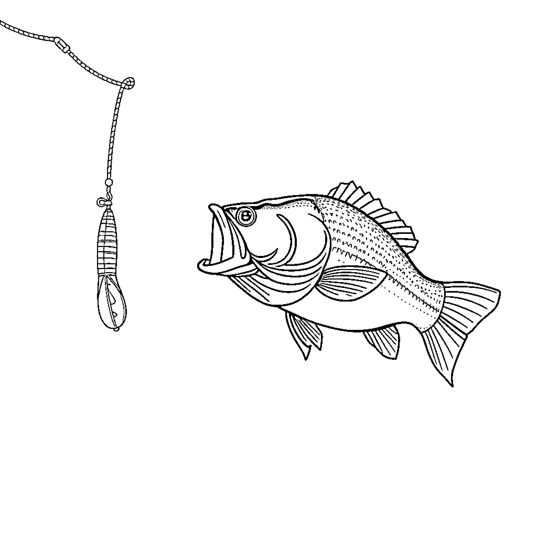 Bass fish caught on fishing lure Coloring Page (free black-and-white line drawing printable PDF for all, from beginners to advanced learners, including children, teens, adults, and seniors)