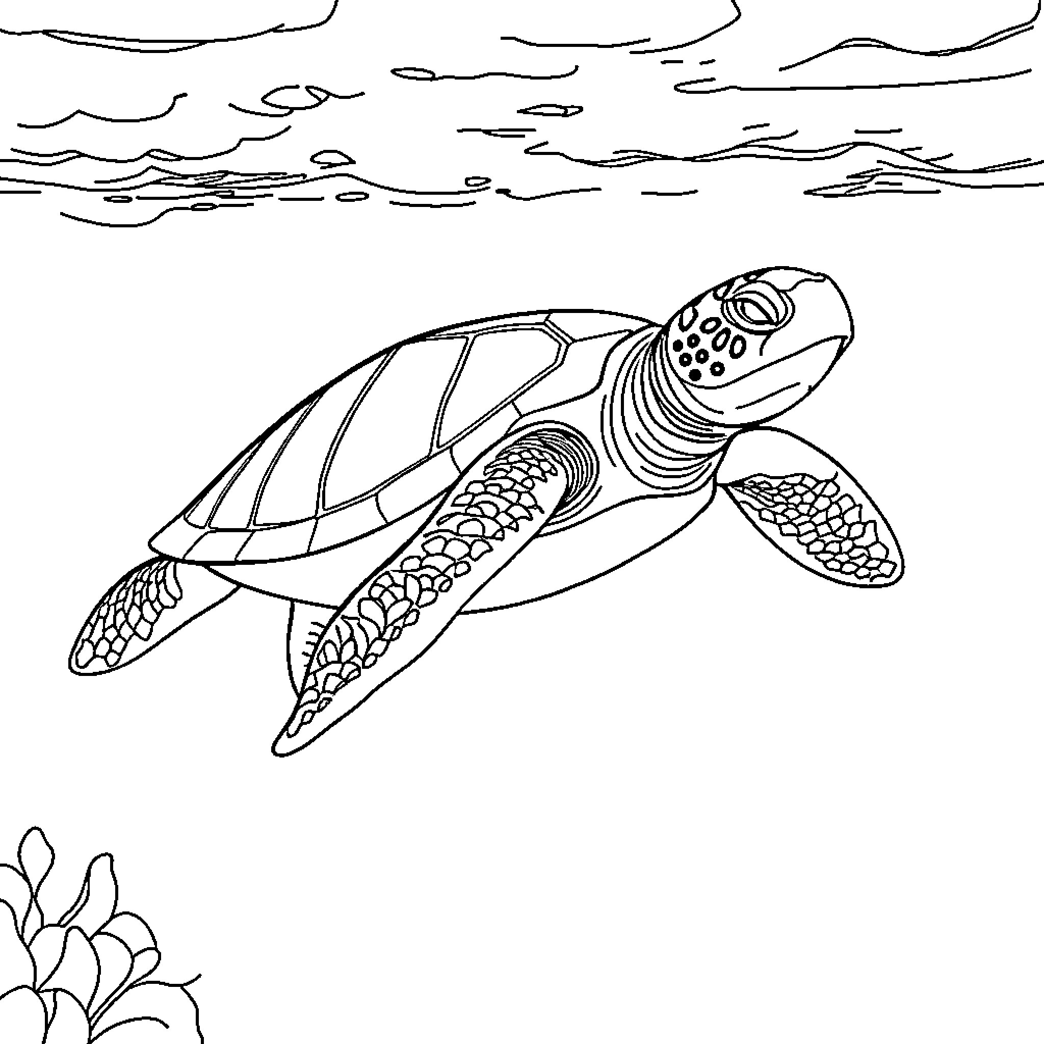 Sea Turtle swimming in the ocean Coloring Page (free black-and-white line drawing printable PDF for all, from beginners to advanced learners, including children, teens, adults, and seniors)
