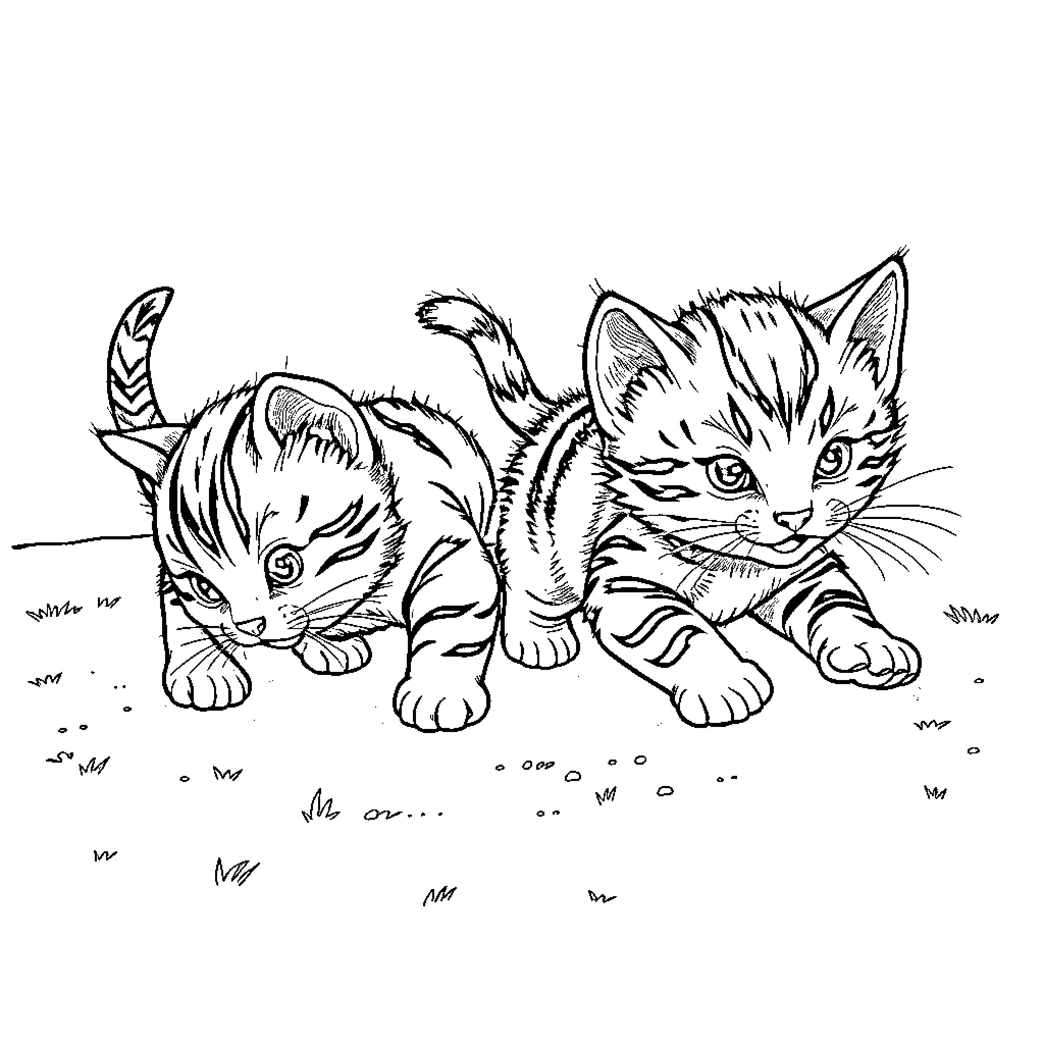 Kittens exploring the outdoors Coloring Page (free black-and-white line drawing printable PDF for all, from beginners to advanced learners, including children, teens, adults, and seniors)
