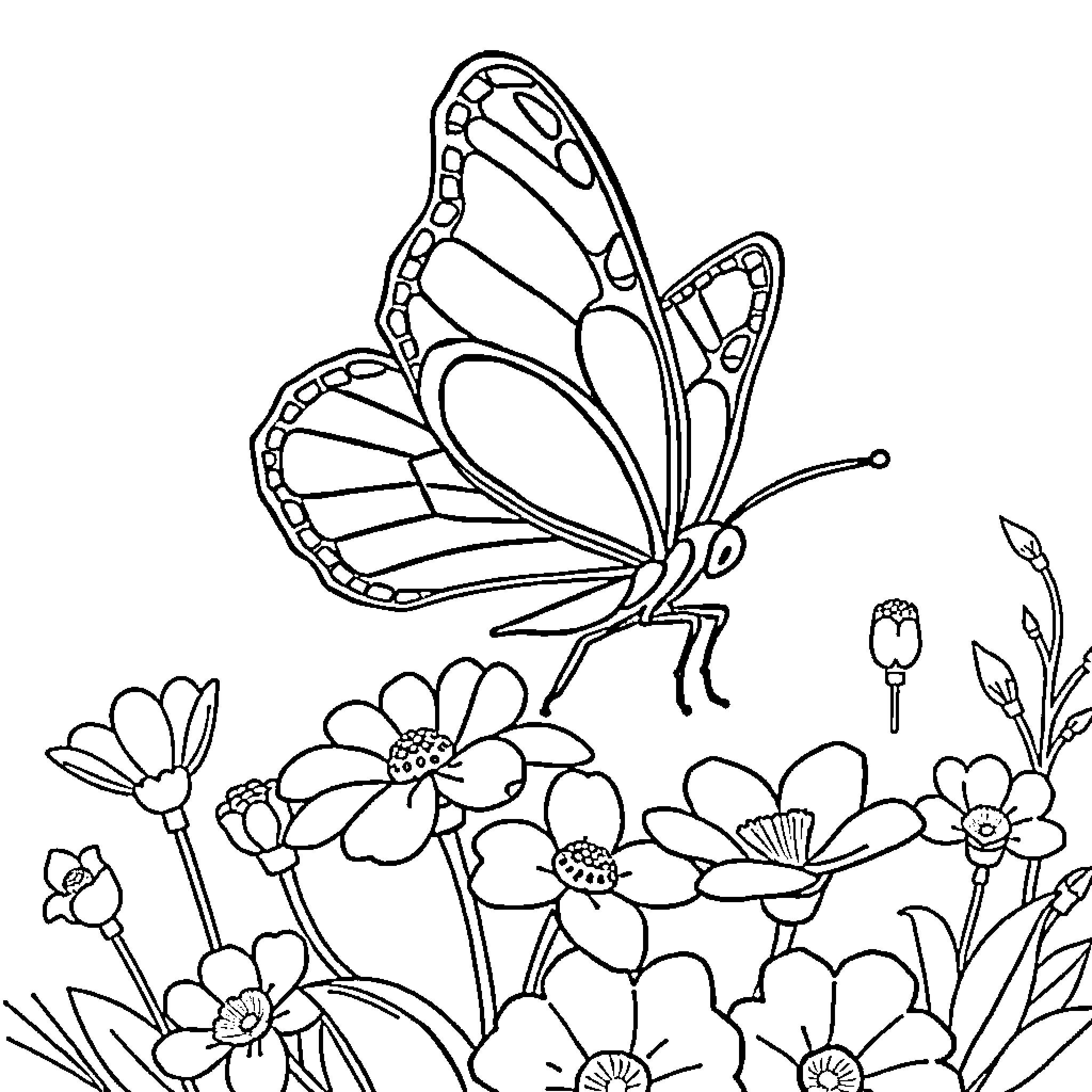 Butterfly flying over vibrant flowers Coloring Page (free black-and-white line drawing printable PDF for all, from beginners to advanced learners, including children, teens, adults, and seniors)