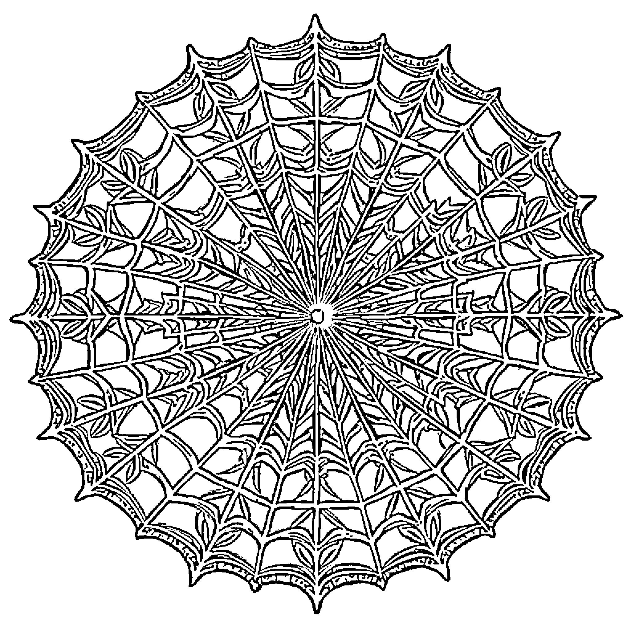 Spider Web Intricate Mandala Pattern Coloring Page (free black-and-white line drawing printable PDF for all, from beginners to advanced learners, including children, teens, adults, and seniors)
