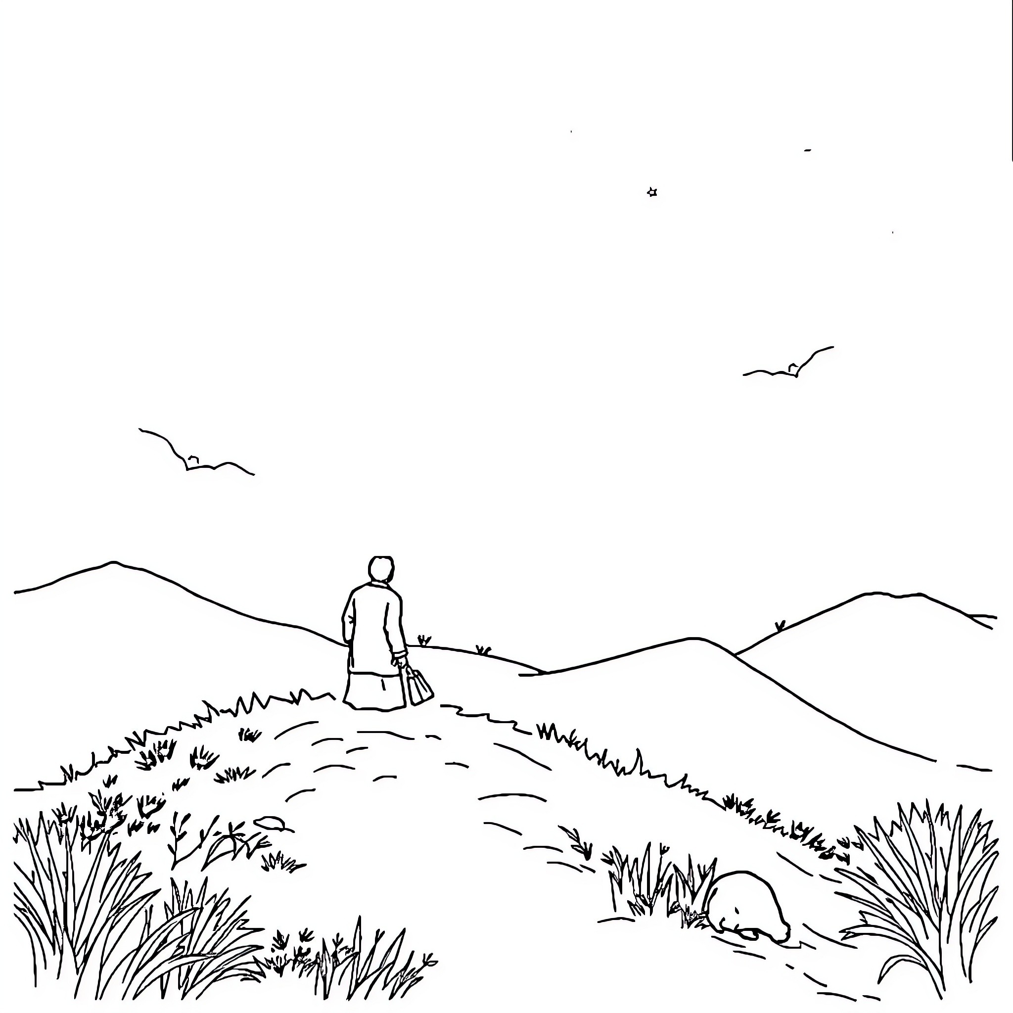 Sheep walking on a countryside path Coloring Page (free black-and-white line drawing printable PDF for all, from beginners to advanced learners, including children, teens, adults, and seniors)