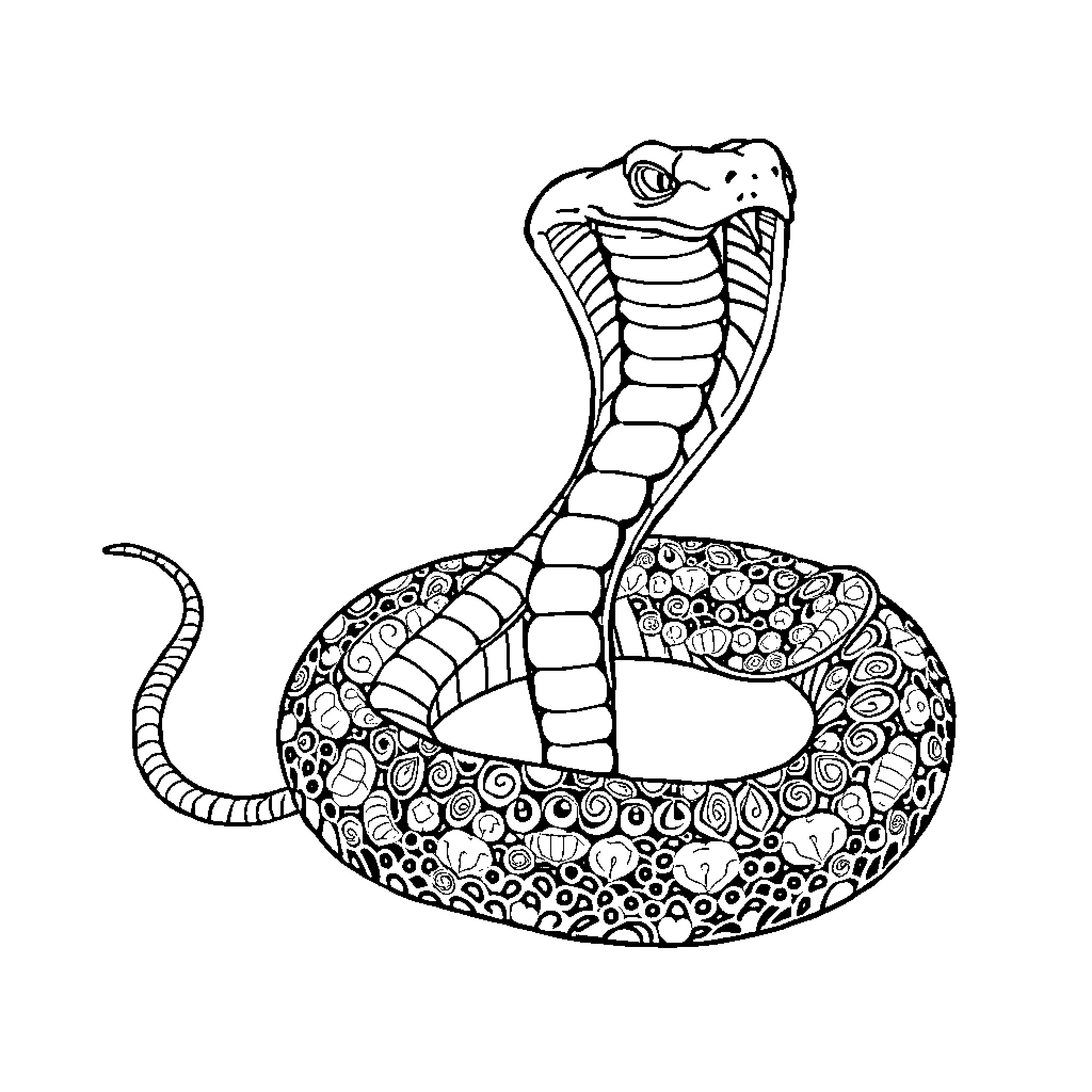 Cobra snake with intricate patterns Coloring Page (free black-and-white line drawing printable PDF for all, from beginners to advanced learners, including children, teens, adults, and seniors)